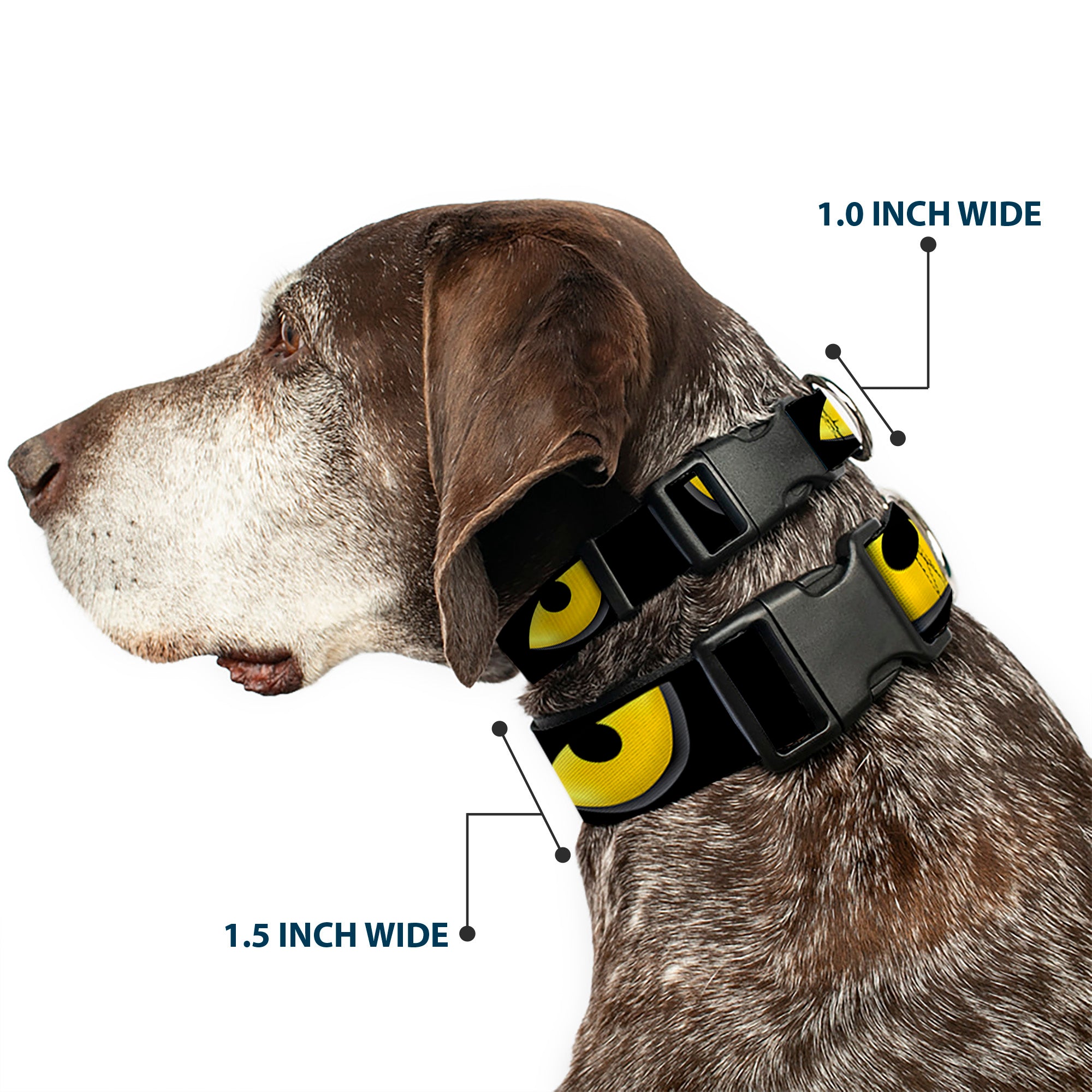 Plastic Clip Collar - Owl Eyes 1 Plastic Clip Collars Buckle-Down
