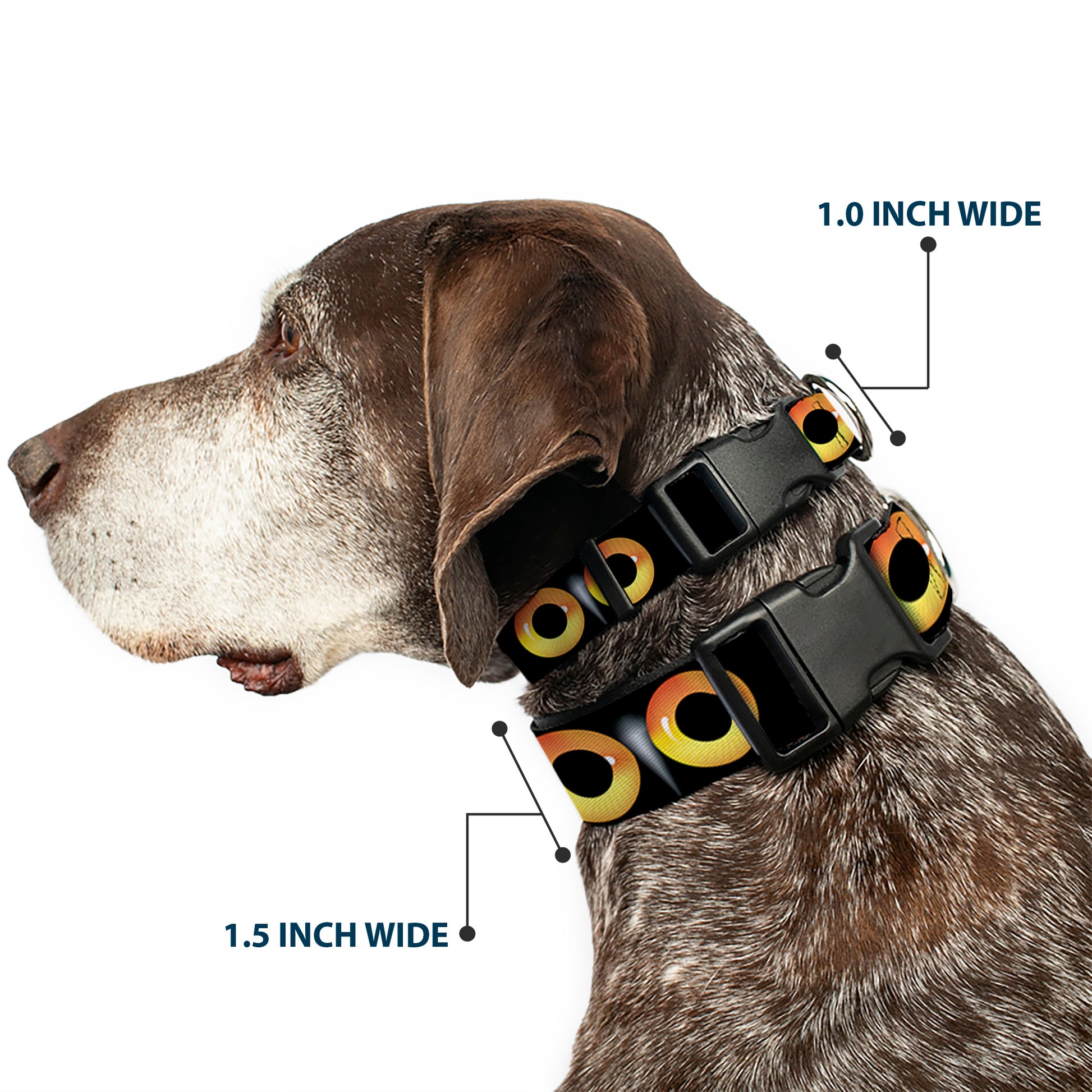 Plastic Clip Collar - Owl Eyes 2 Plastic Clip Collars Buckle-Down