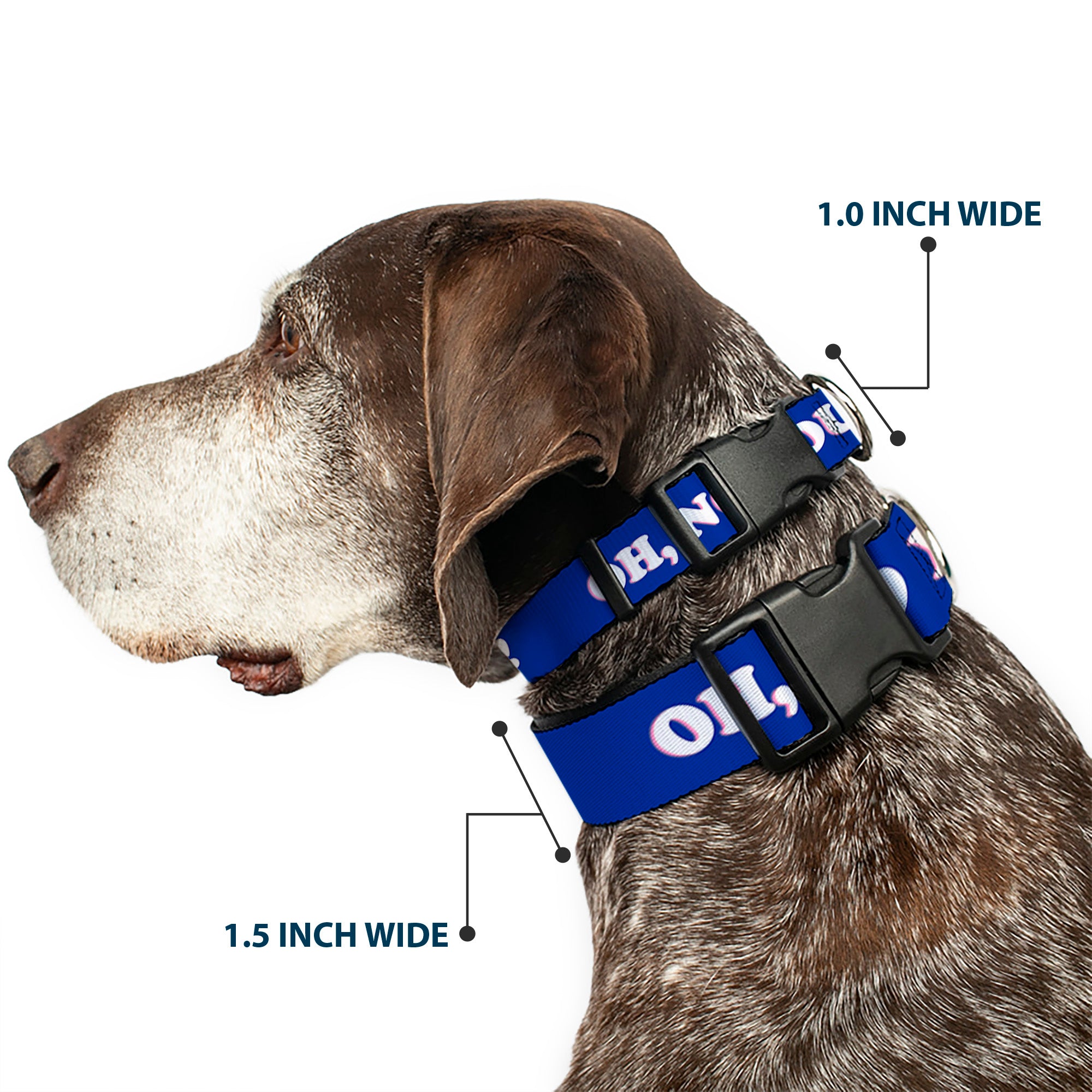 Plastic Clip Collar - OH, NO YOU DIDN'T!!! Navy/Purple/White Plastic Clip Collars Buckle-Down