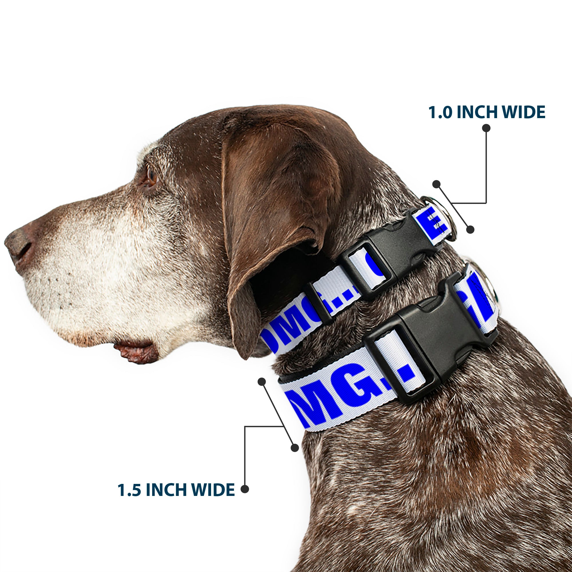 Plastic Clip Collar - OMGâ€¦GIVE ME A BREAK!!! White/Royal Plastic Clip Collars Buckle-Down