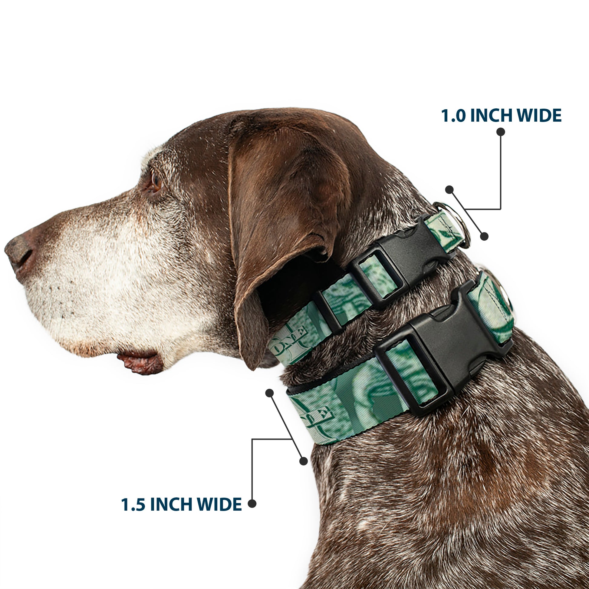 Plastic Clip Collar - One Dollar Bill Eye of Providence/Bald Eagle CLOSE-UP Plastic Clip Collars Buckle-Down
