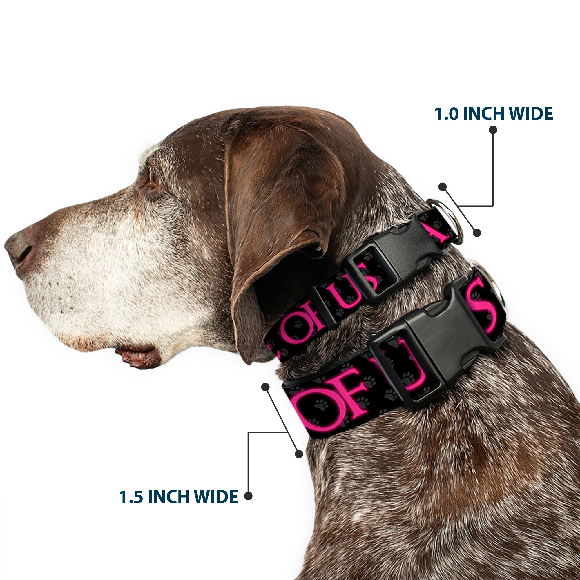 Buckle-Down Plastic Buckle Dog Collar - ONE OF US IS A BITCH Crown/Paws Black/Gray/Pink Plastic Clip Collars Buckle-Down
