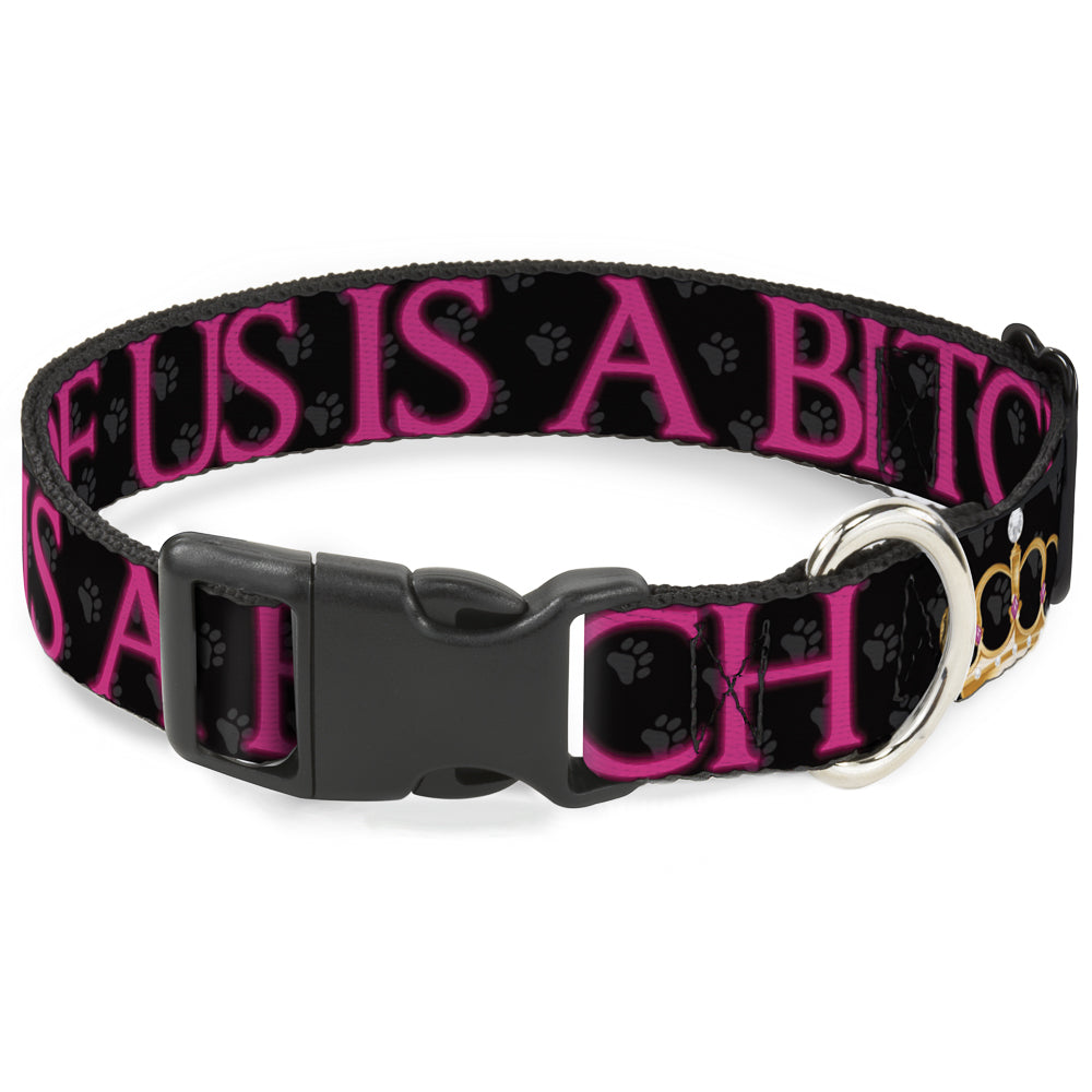 Buckle-Down Plastic Buckle Dog Collar - ONE OF US IS A BITCH Crown/Paws Black/Gray/Pink Plastic Clip Collars Buckle-Down