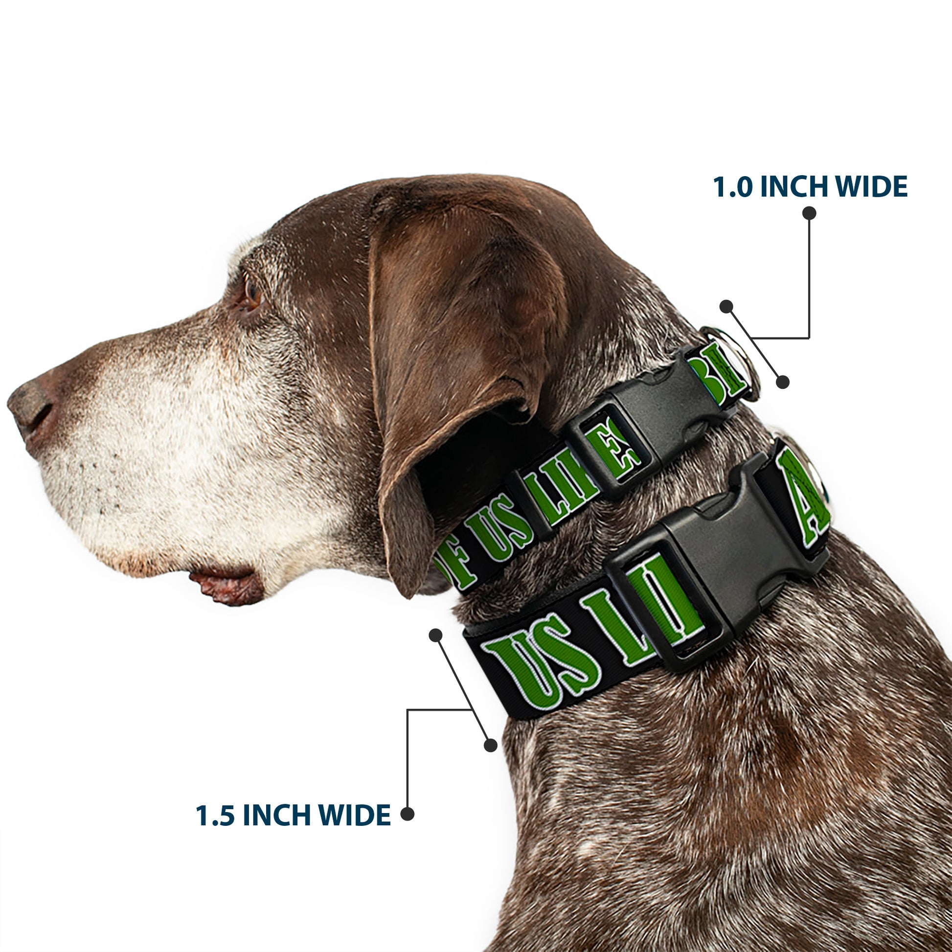 Buckle-Down Plastic Buckle Dog Collar - ONE OF US LIKES BIG STICKS/Sticks Black/Brown/Green Plastic Clip Collars Buckle-Down