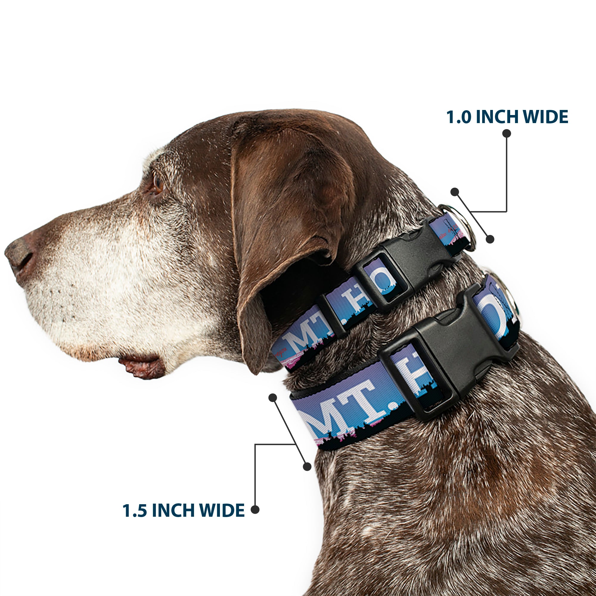 Plastic Clip Collar - Oregon MT. HOOD Scenery Blues/Purples/Black/White Plastic Clip Collars Buckle-Down