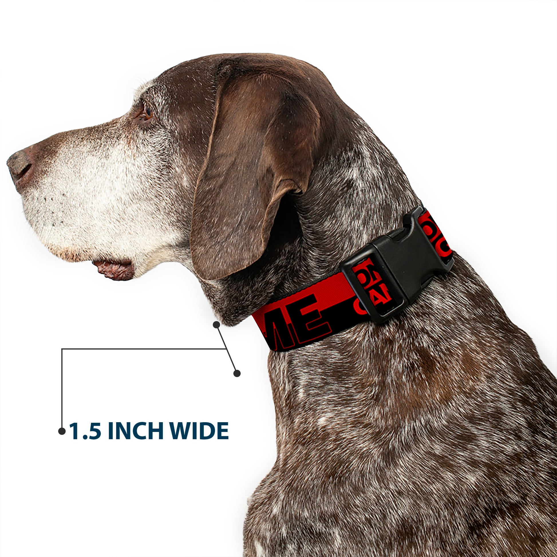 Plastic Clip Collar - ONLY GOD CAN JUDGE ME/Stripe Red/Black/Red Plastic Clip Collars Buckle-Down