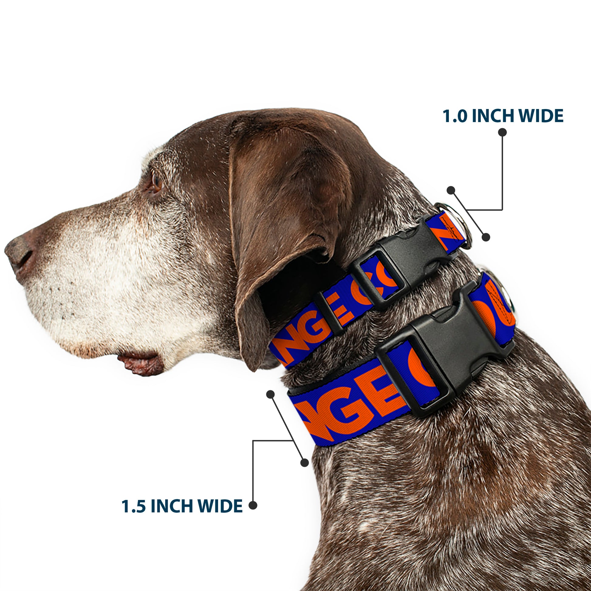 Plastic Clip Collar - ORANGE COUNTY/Wave Icon Blue/Orange Plastic Clip Collars Buckle-Down