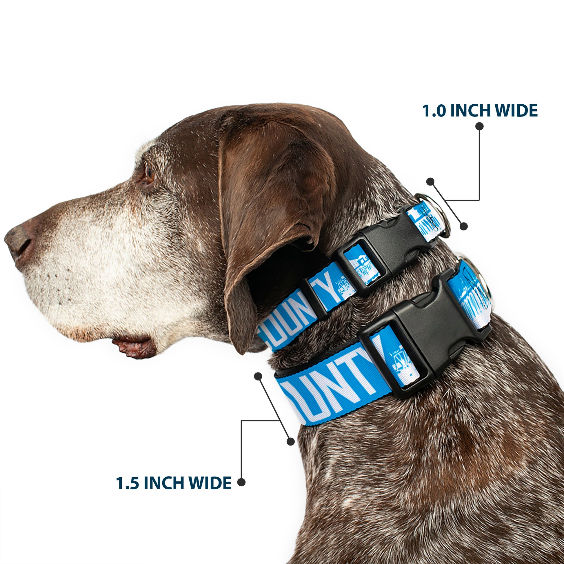 Plastic Clip Collar - ORANGE COUNTY/Pier Scene Blue/White Plastic Clip Collars Buckle-Down