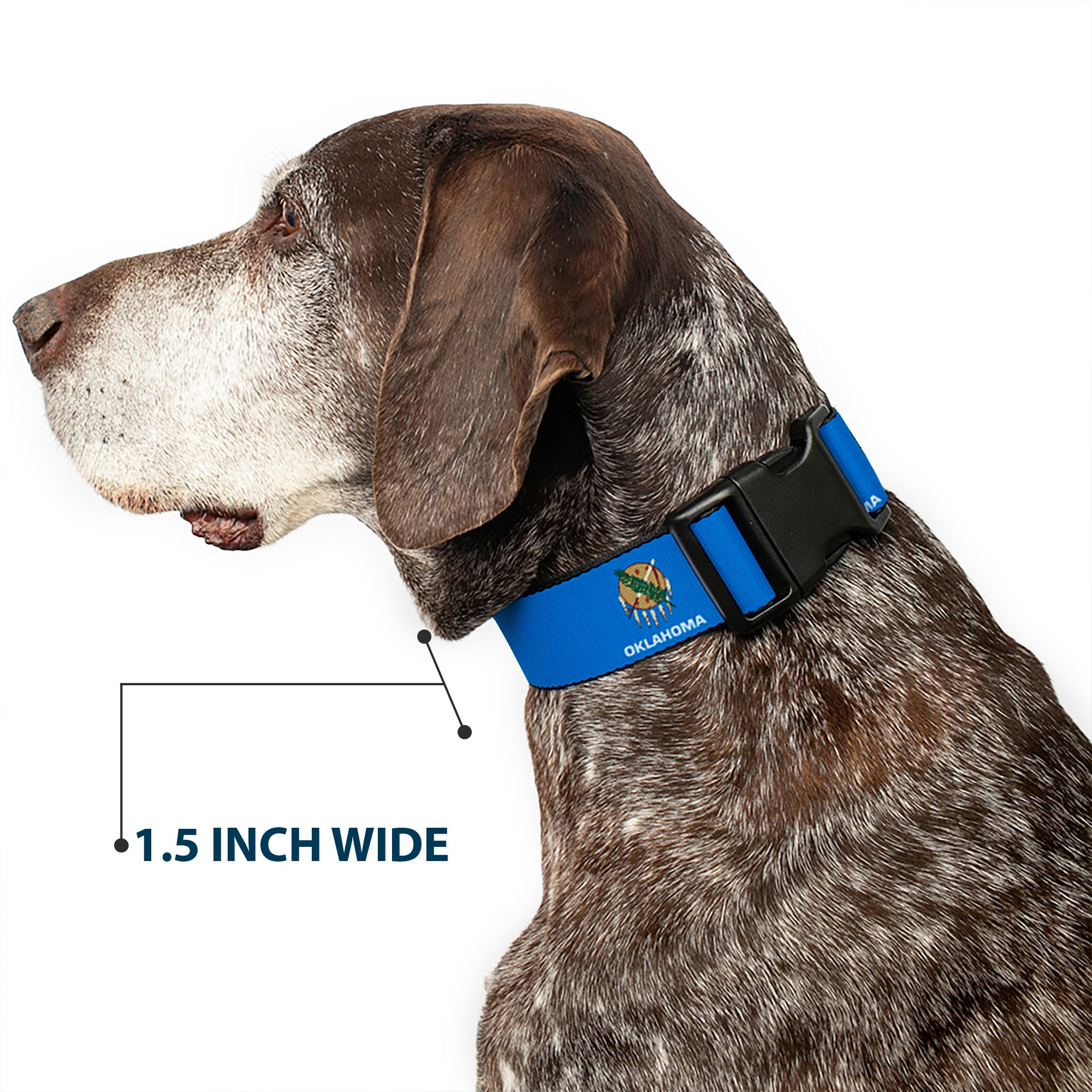 Plastic Clip Collar - Oklahoma State Flag Sky Blue/White Plastic Clip Collars Buckle-Down