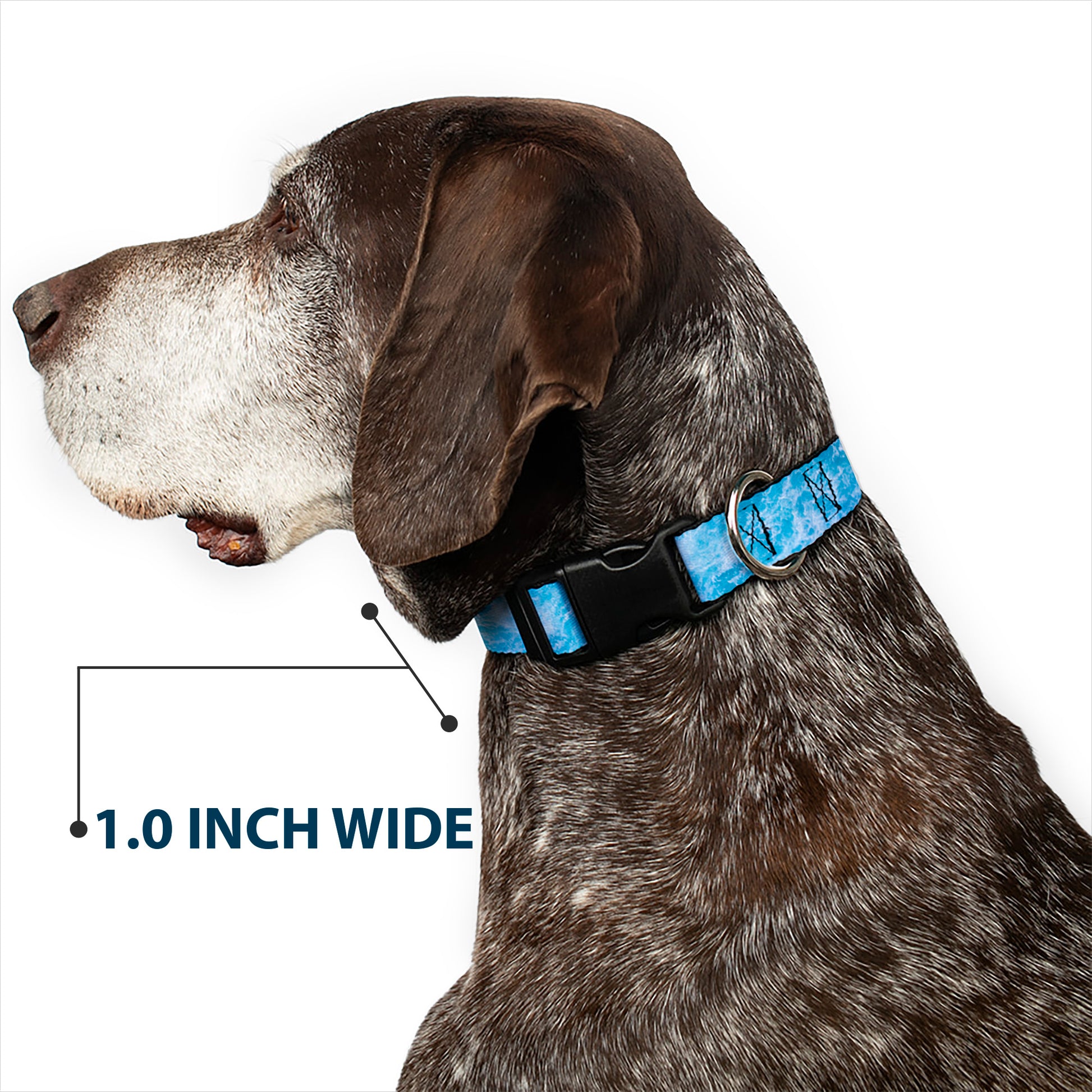 Plastic Clip Collar - Ocean Vivid White Wash Plastic Clip Collars Buckle-Down