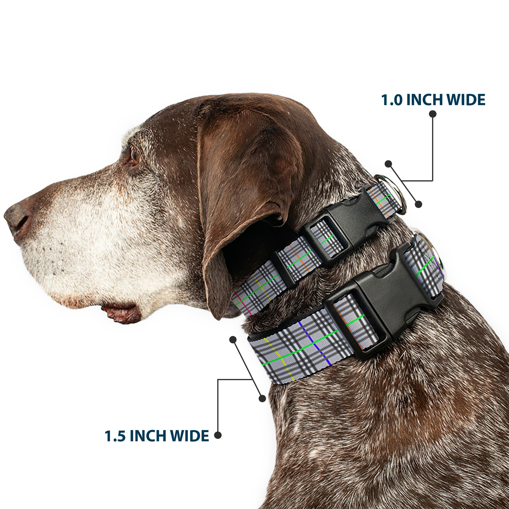 Plastic Clip Collar - Plaid Gray/Multi Neon Plastic Clip Collars Buckle-Down