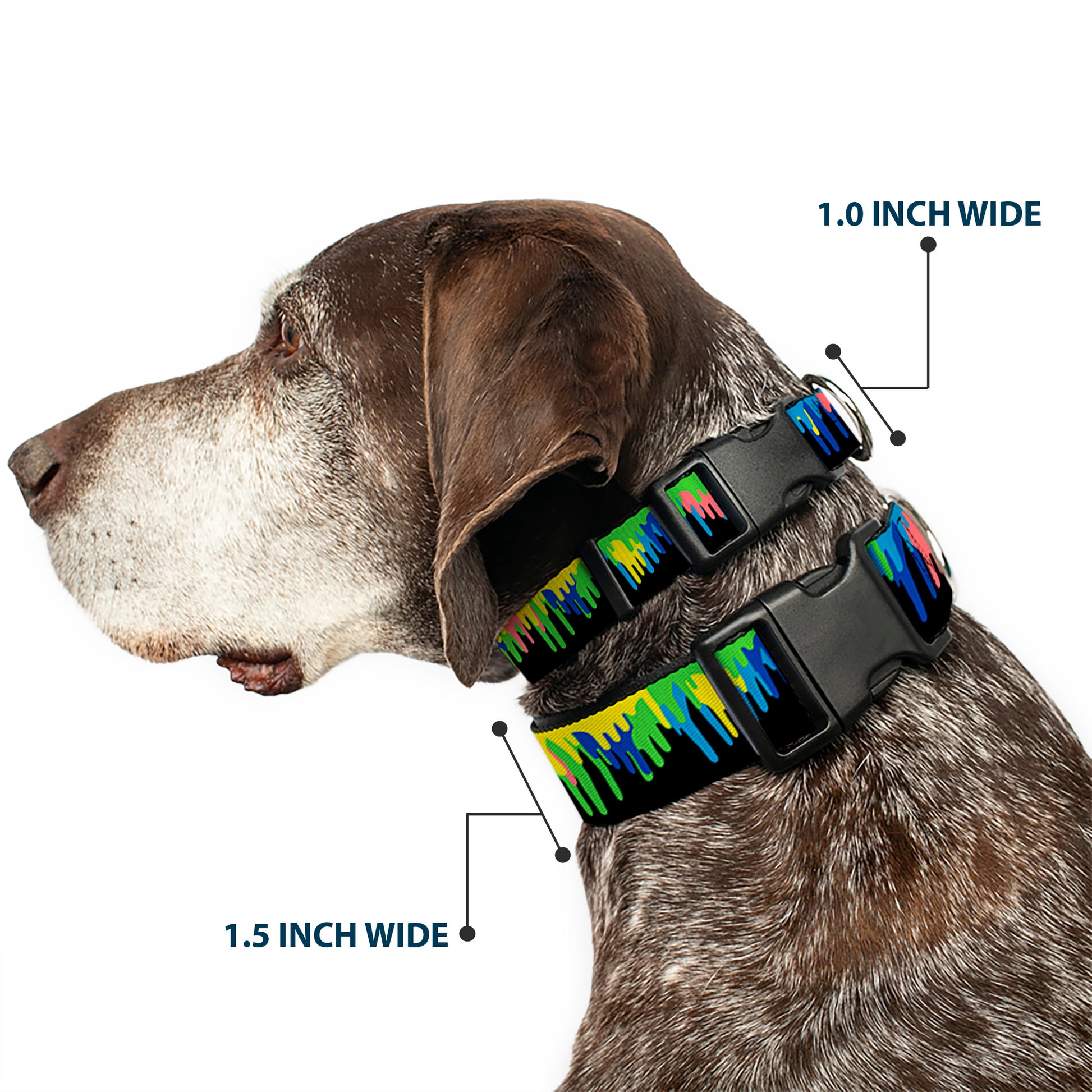 Plastic Clip Collar - Paint Drips Black/Multi Neon Plastic Clip Collars Buckle-Down