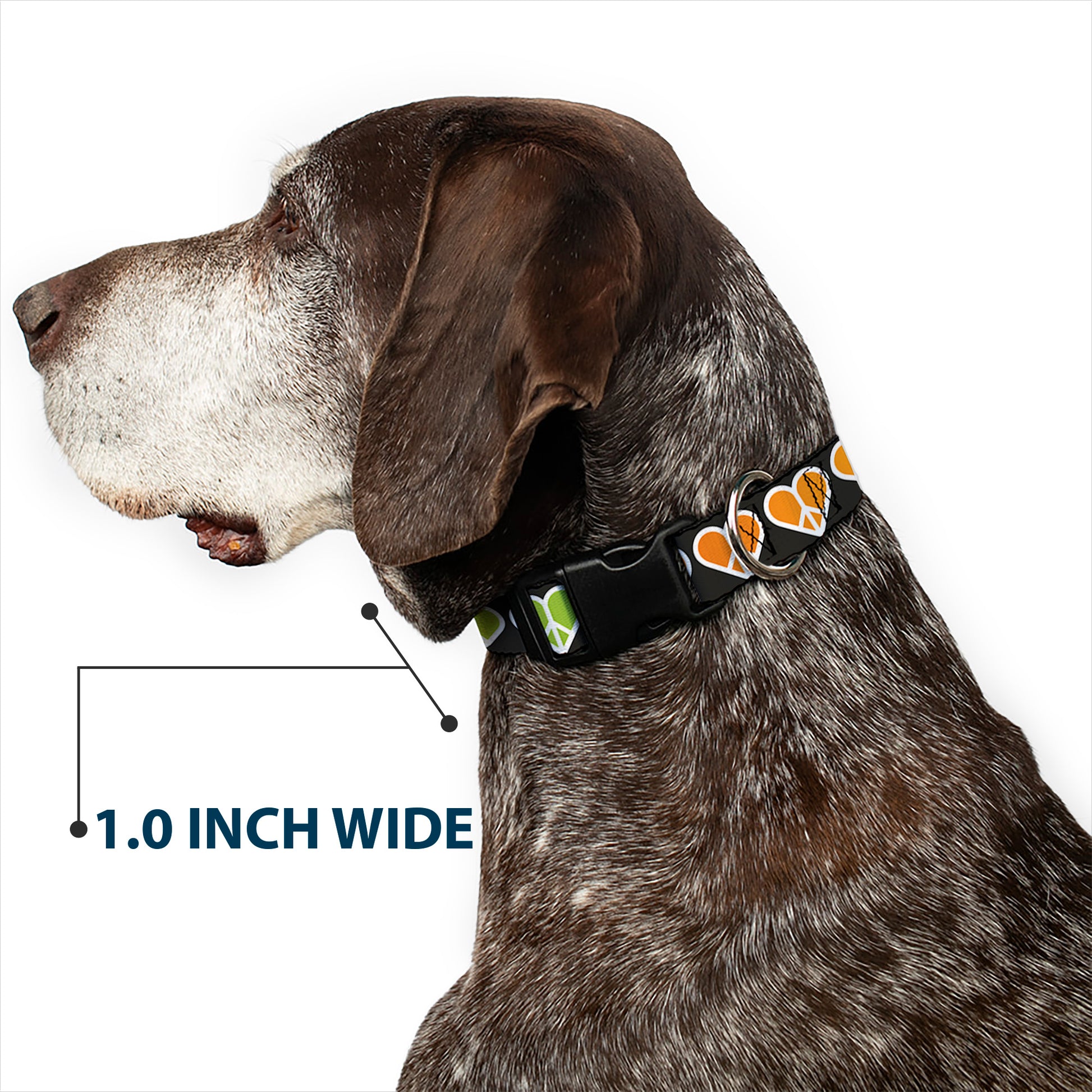 Plastic Clip Collar - Peace Hearts Repeat Fill Black/Rainbow Plastic Clip Collars Buckle-Down