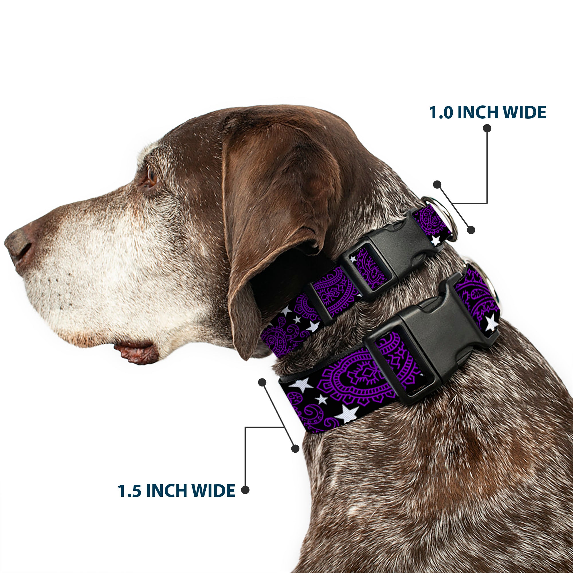 Plastic Clip Collar - Paisley Stars Black/Purple/White Plastic Clip Collars Buckle-Down