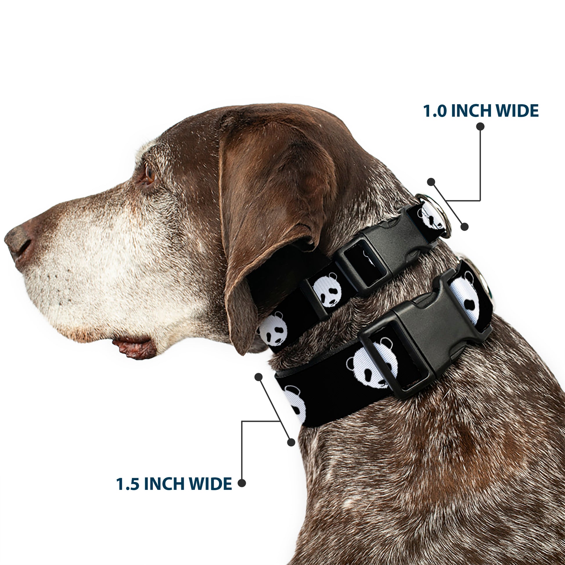 Plastic Clip Collar - Panda Bear Repeat Plastic Clip Collars Buckle-Down