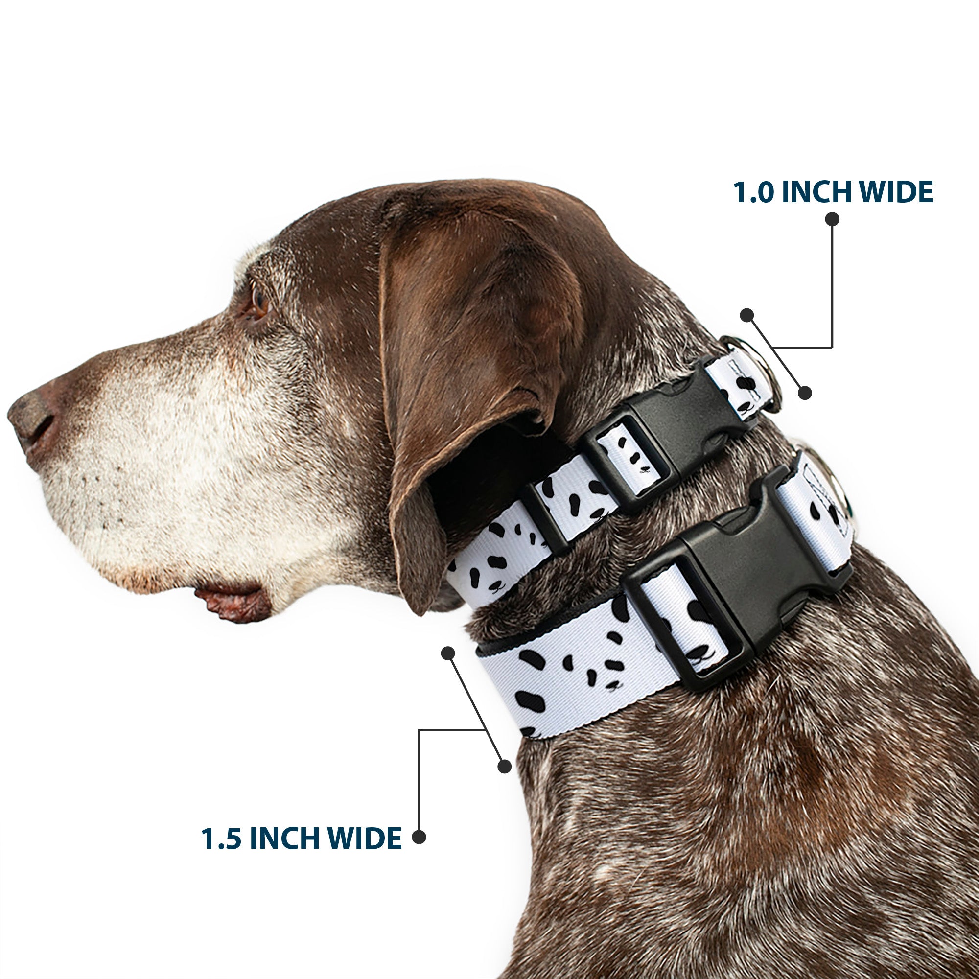 Plastic Clip Collar - Panda Bear Spots Plastic Clip Collars Buckle-Down