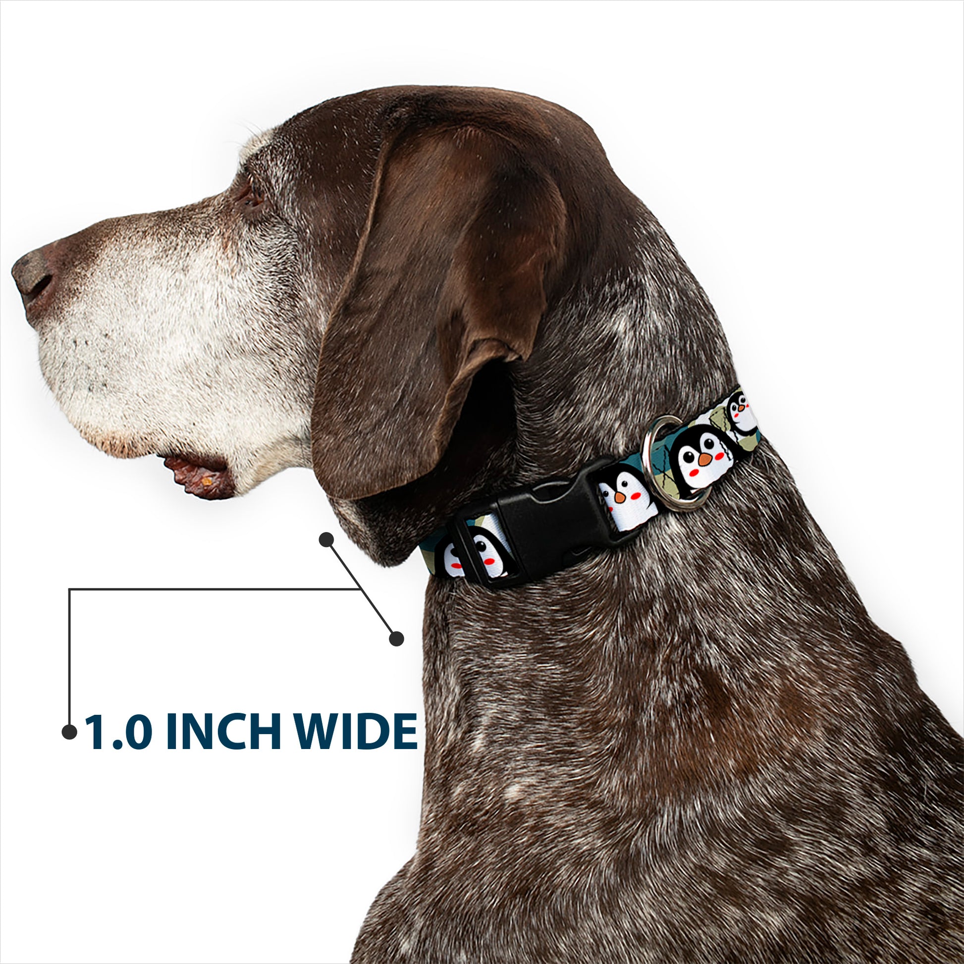 Plastic Clip Collar - Penguin Cartoon Plastic Clip Collars Buckle-Down