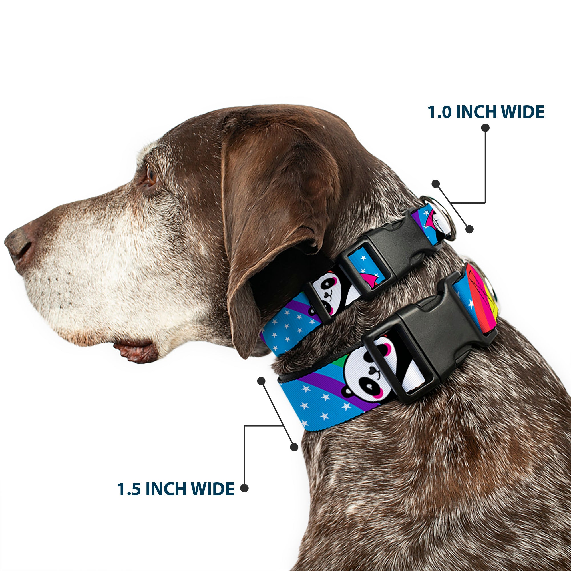 Plastic Clip Collar - Pandas & Rainbows w/Stars Plastic Clip Collars Buckle-Down