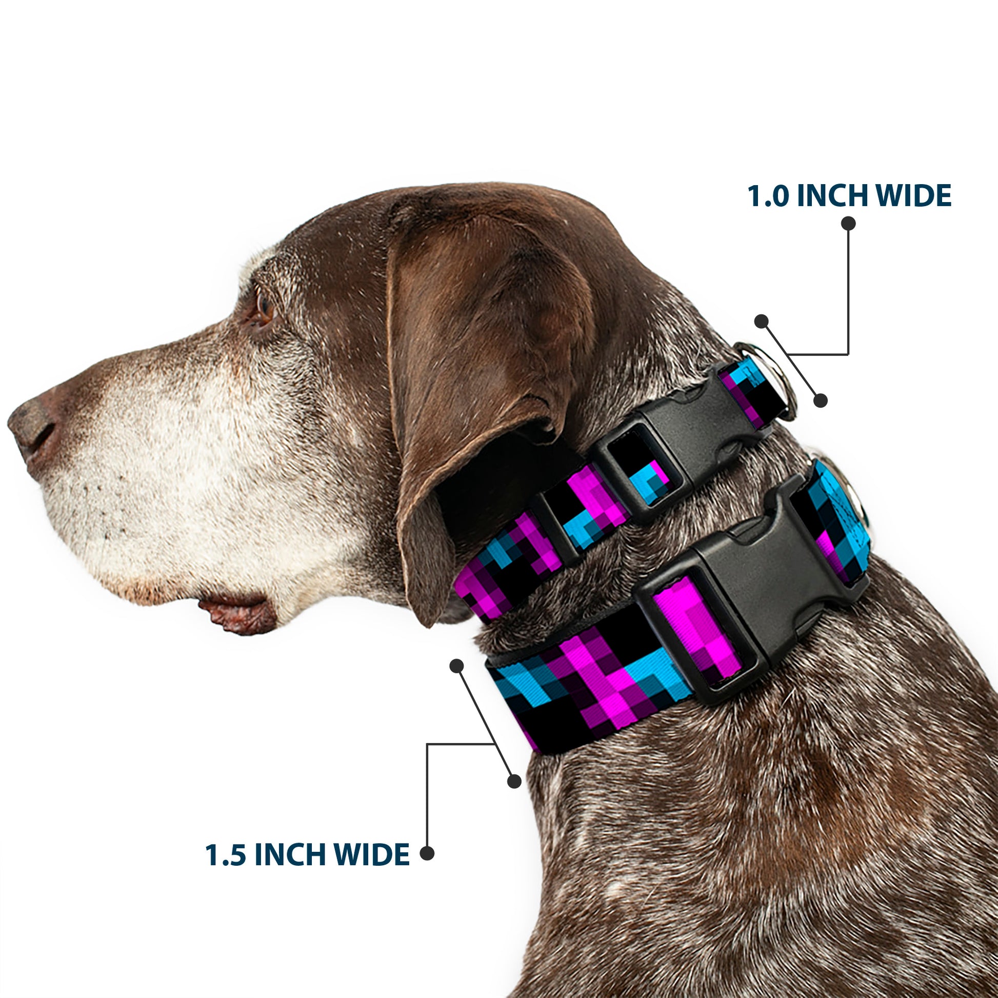 Plastic Clip Collar - Pixilated Checker Black/Fuchsia/Turquoise Plastic Clip Collars Buckle-Down