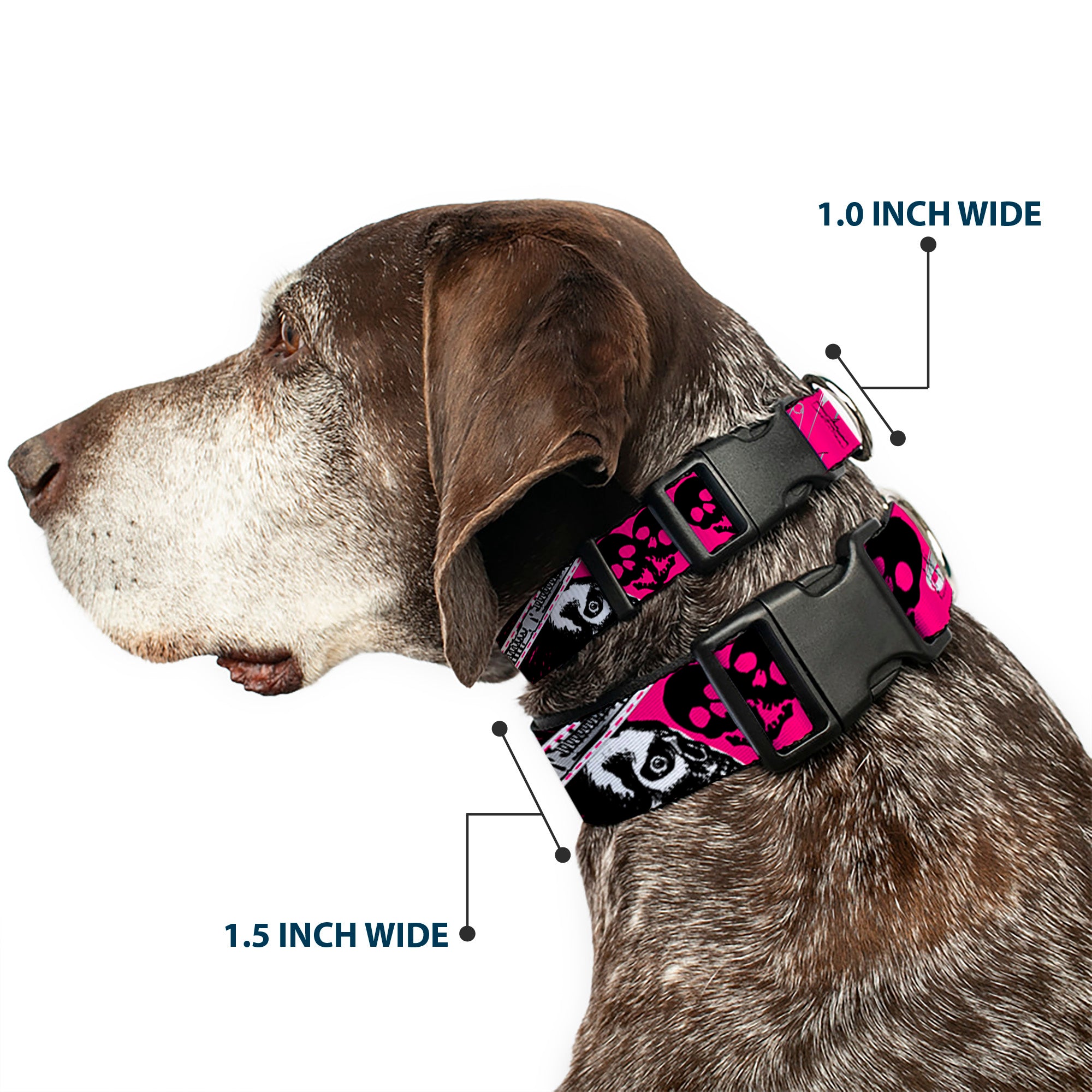 Plastic Clip Collar - Punk Princess w/Zippers & Skulls Plastic Clip Collars Buckle-Down