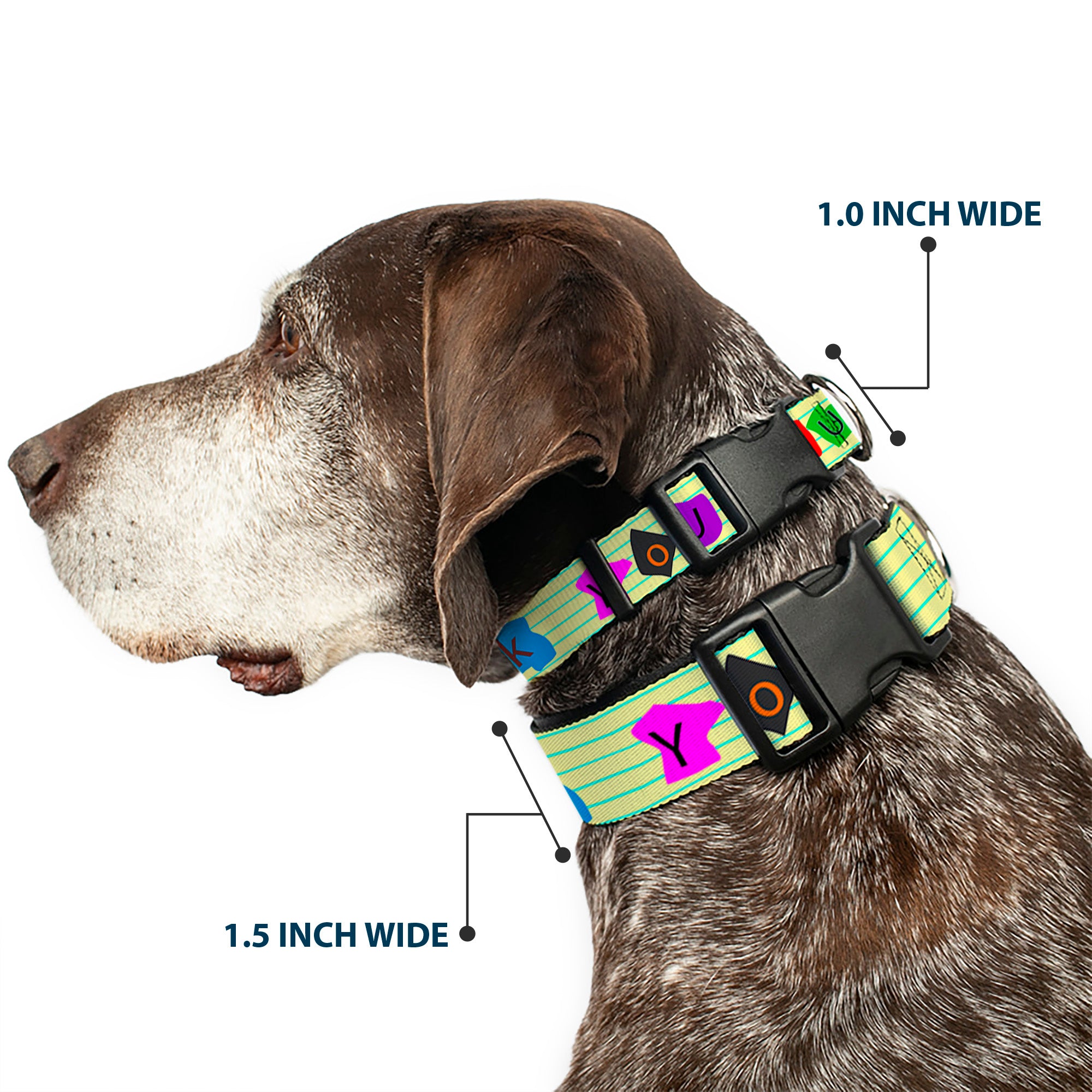 Plastic Clip Collar - Punk You Legal Pad/Full Color Plastic Clip Collars Buckle-Down