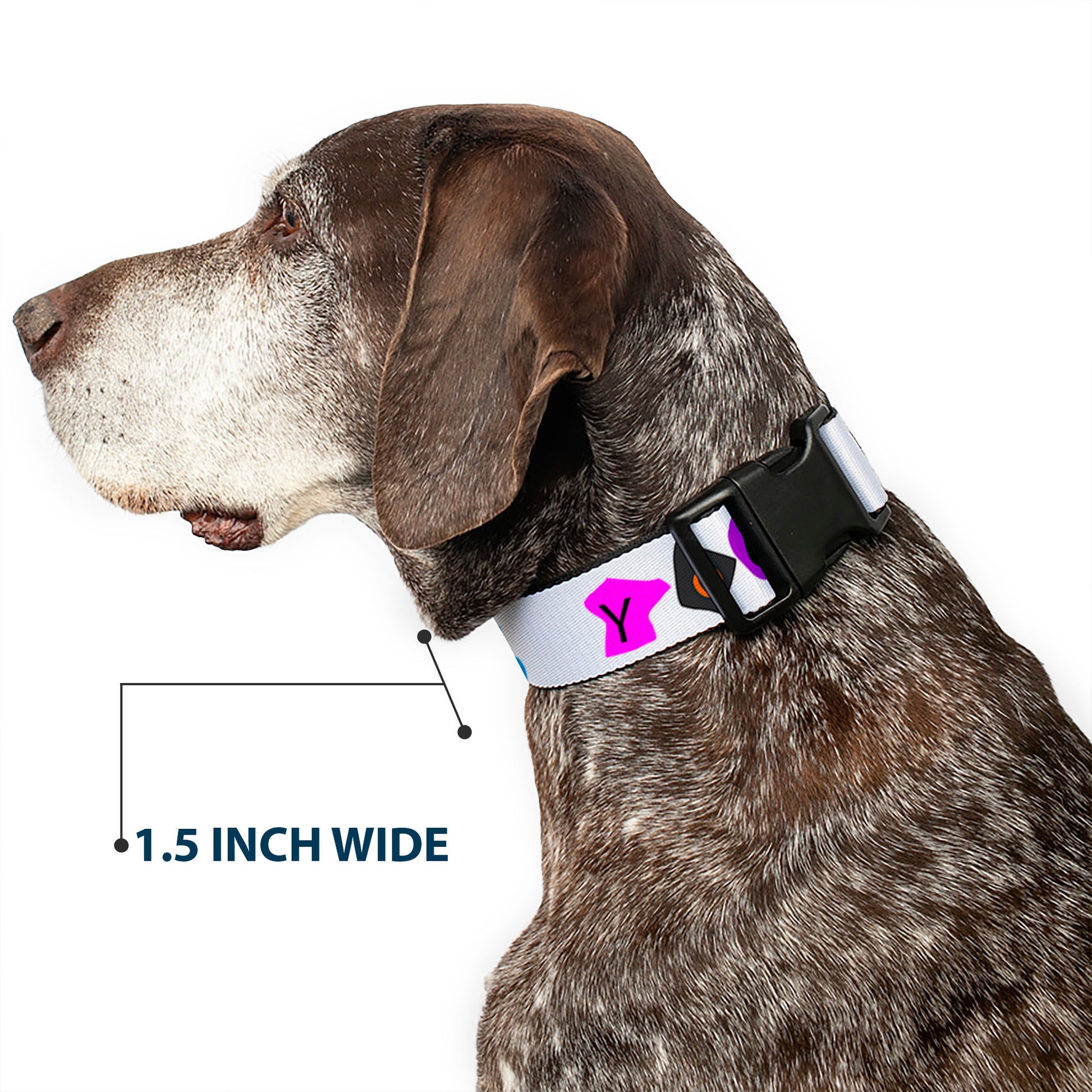 Plastic Clip Collar - Punk You White/Full Color Plastic Clip Collars Buckle-Down