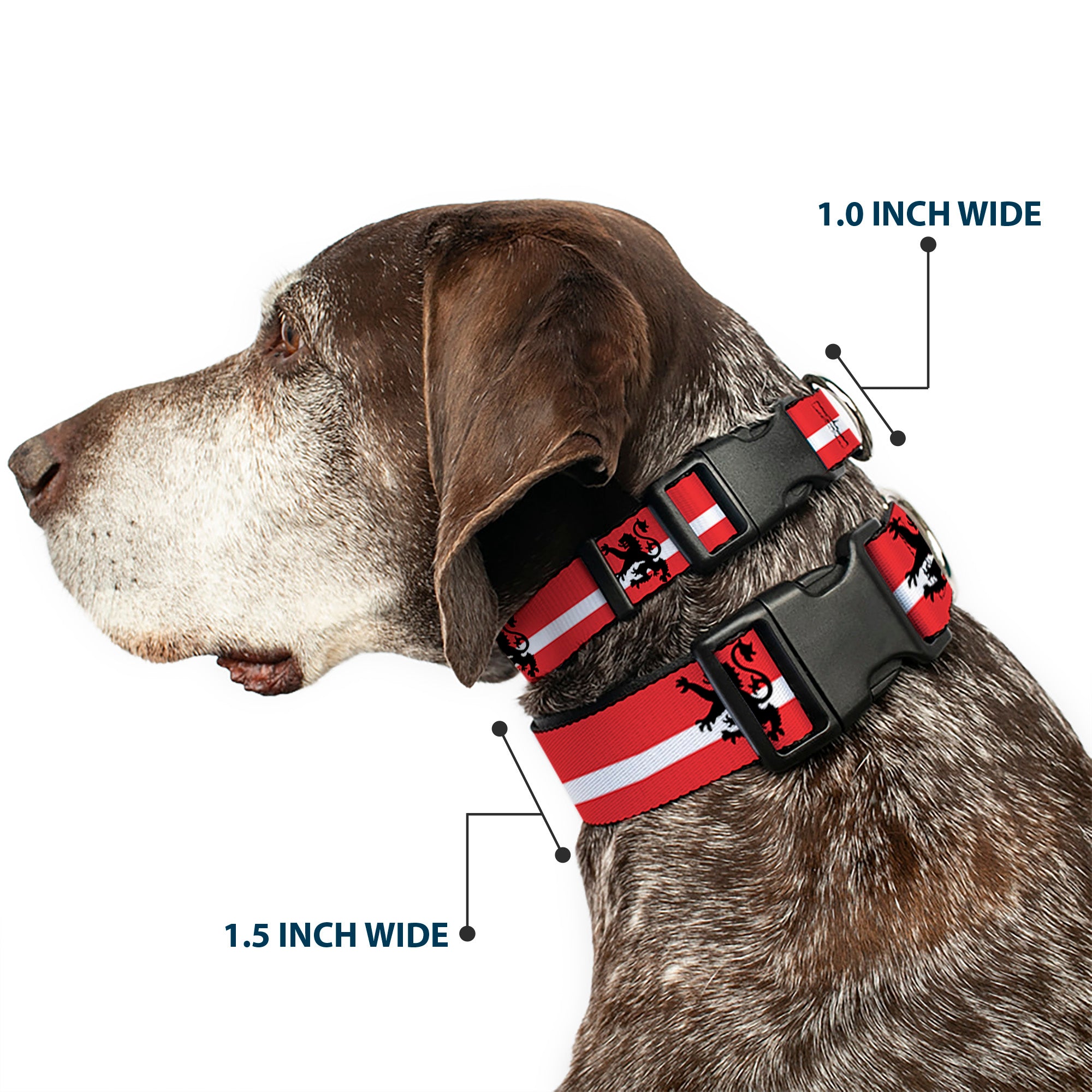 Plastic Clip Collar - Rampant Lion Repeat/Stripes Red/White/Black Plastic Clip Collars Buckle-Down