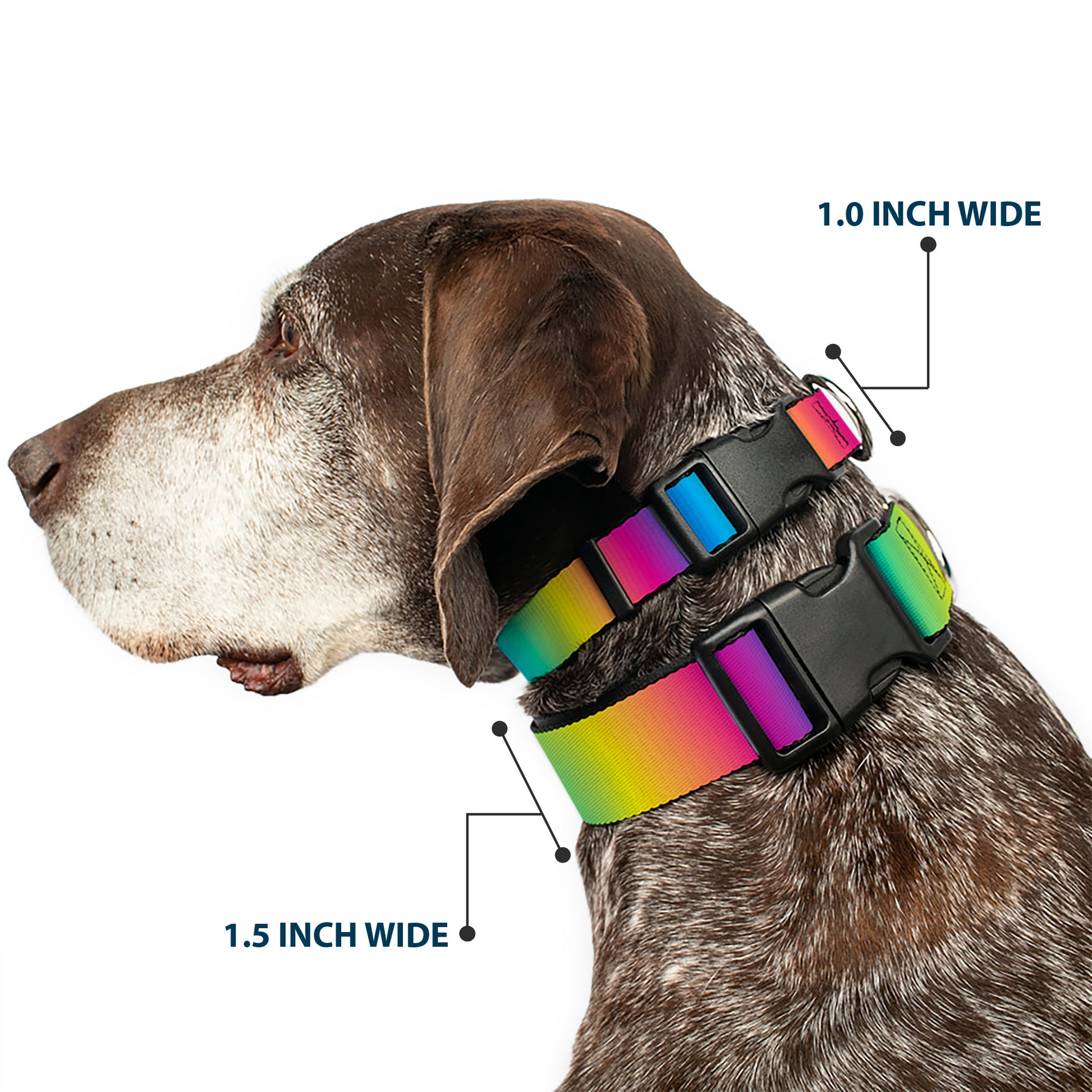 Plastic Clip Collar - Rainbow Ombre Plastic Clip Collars Buckle-Down