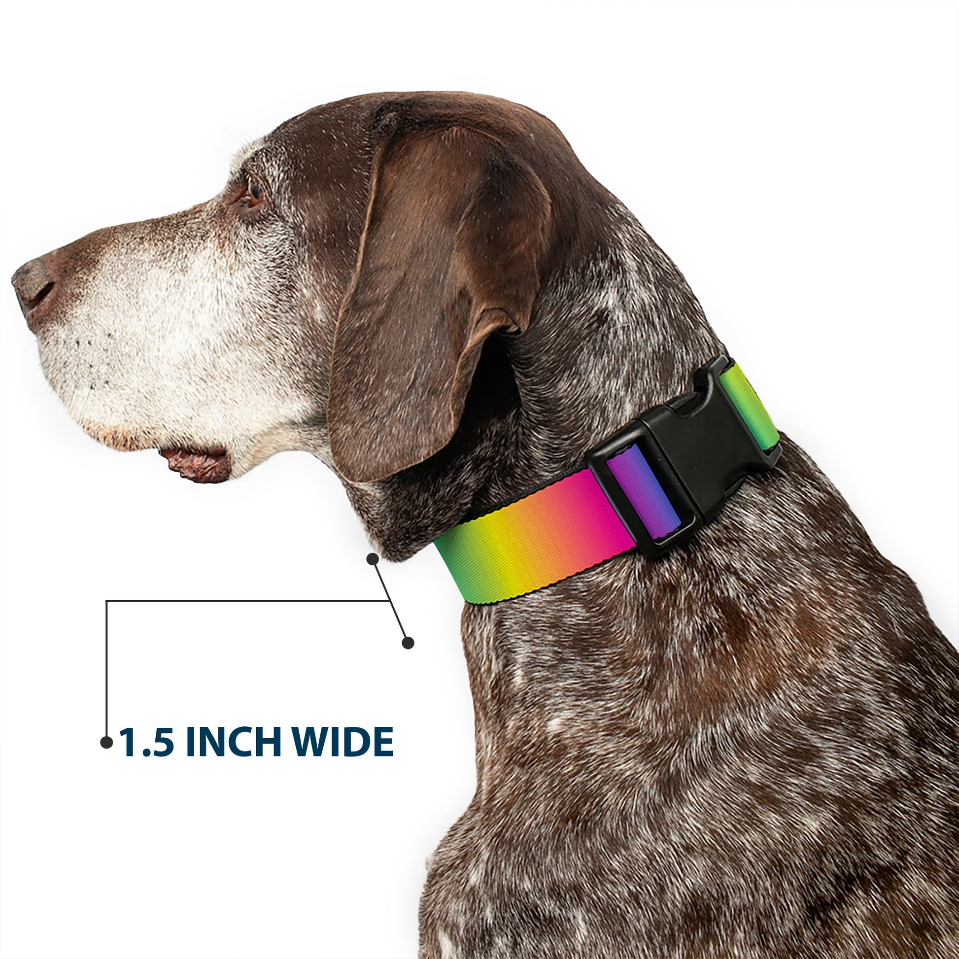 Plastic Clip Collar - Rainbow Ombre Plastic Clip Collars Buckle-Down