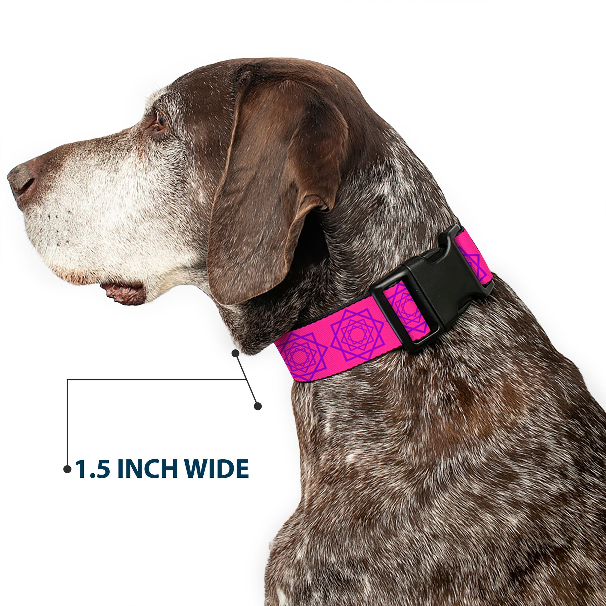 Plastic Clip Collar - Rotating Squares Pink/Purple Plastic Clip Collars Buckle-Down