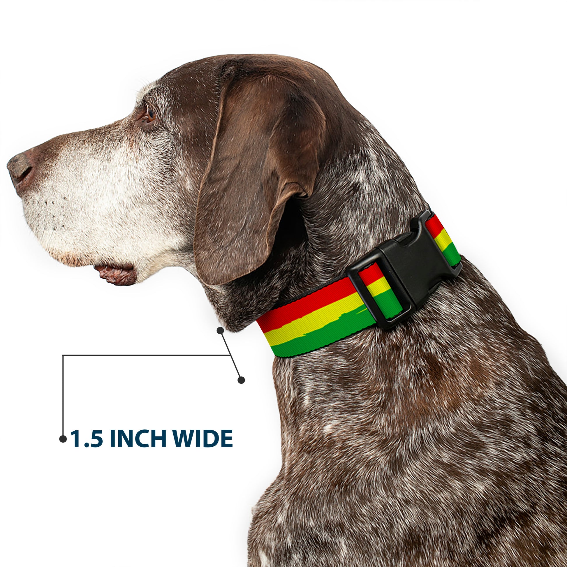 Plastic Clip Collar - Rasta Stripes Painted Green/Yellow/Red Plastic Clip Collars Buckle-Down