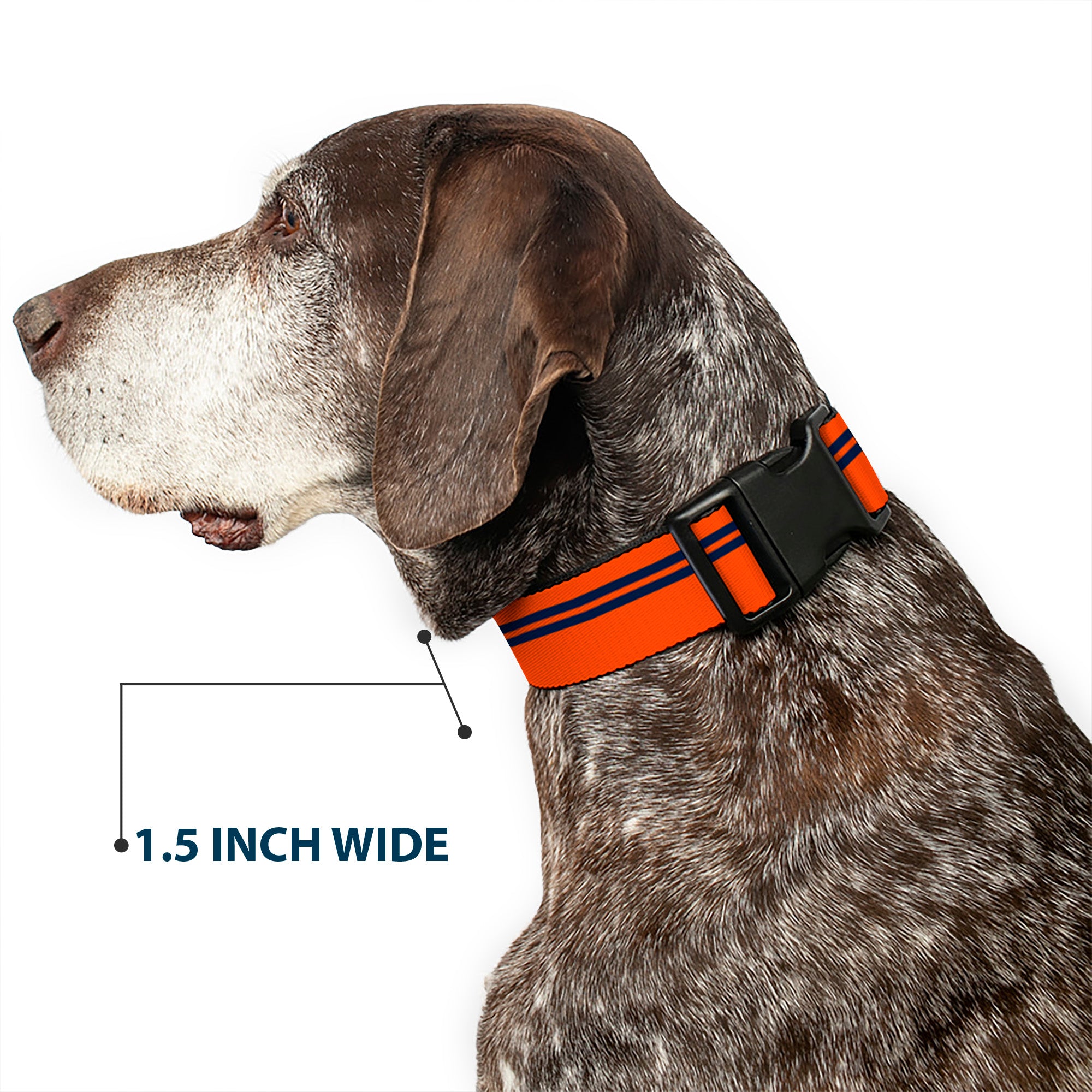 Plastic Clip Collar - Racing Stripe Orange/Navy Plastic Clip Collars Buckle-Down