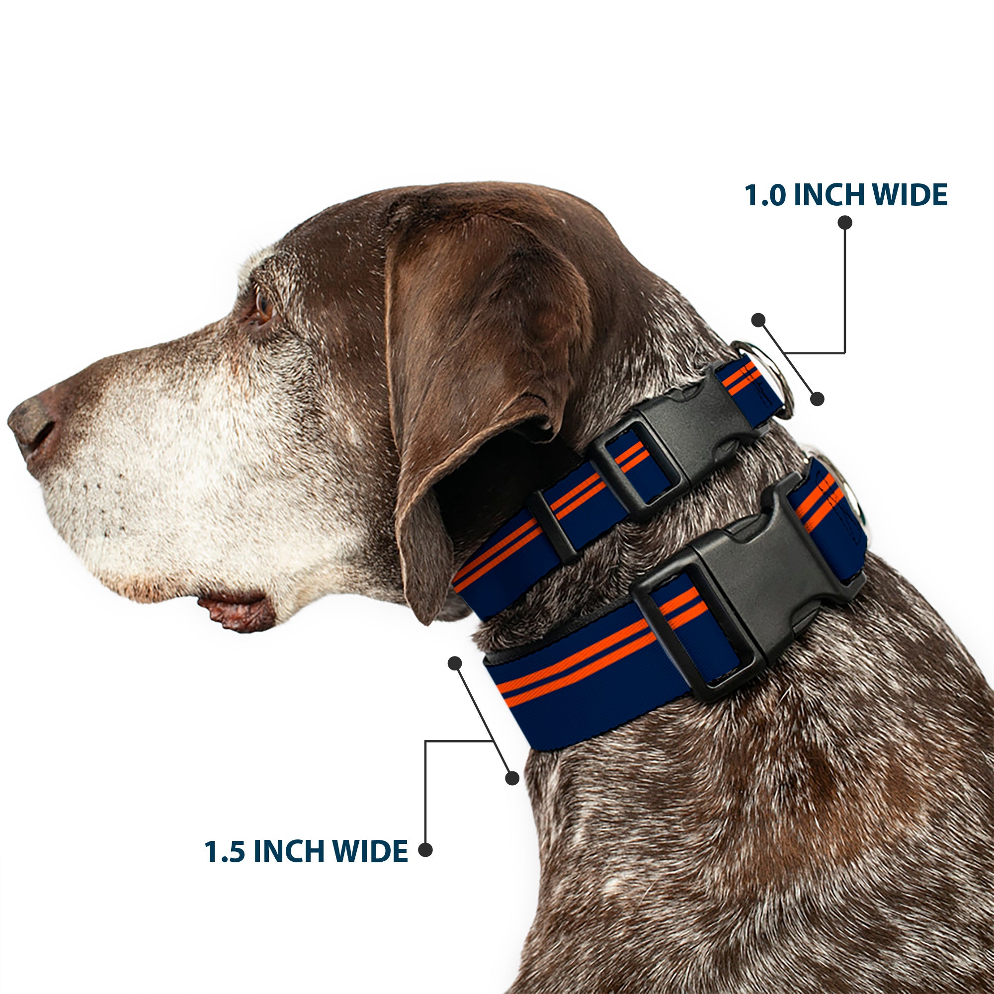 Plastic Clip Collar - Racing Stripe Navy/Orange Plastic Clip Collars Buckle-Down