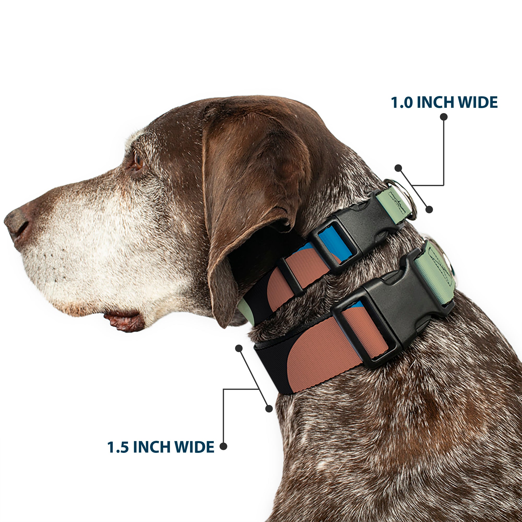Plastic Clip Collar - Polka Dots CLOSE-UP Black/Blue/Sage/Brown Plastic Clip Collars Buckle-Down