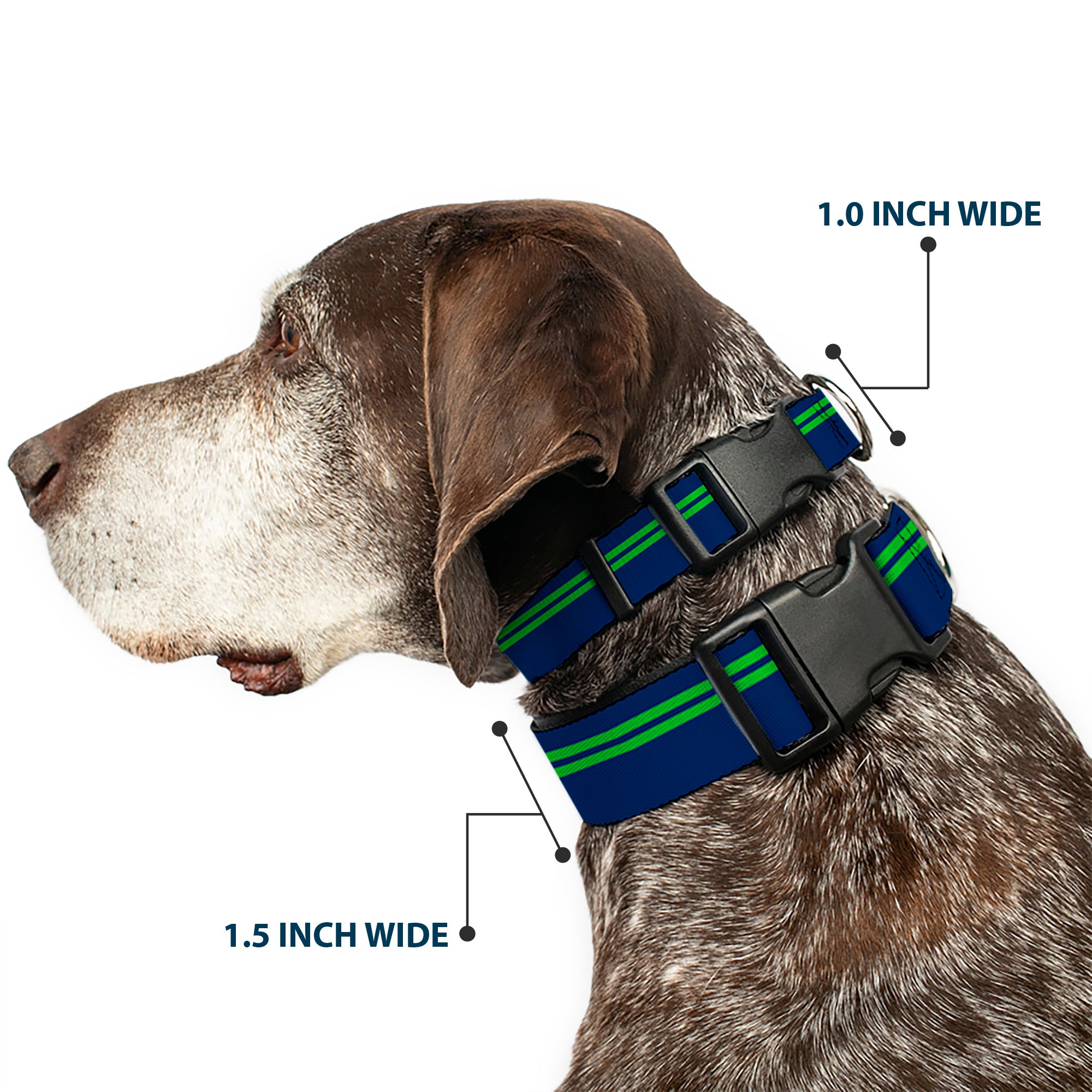 Plastic Clip Collar - Racing Stripe Navy/Bright Green Plastic Clip Collars Buckle-Down