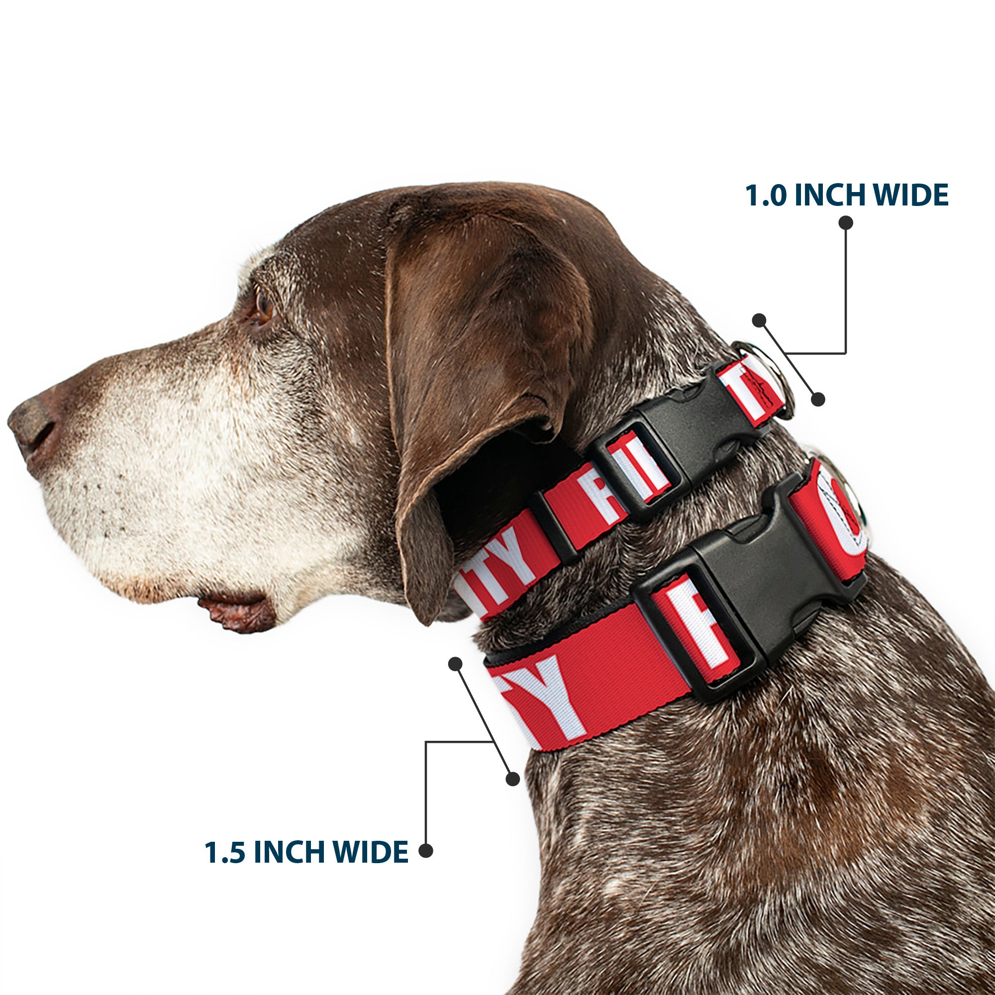 Plastic Clip Collar - RIP CITY Red/White Plastic Clip Collars Buckle-Down