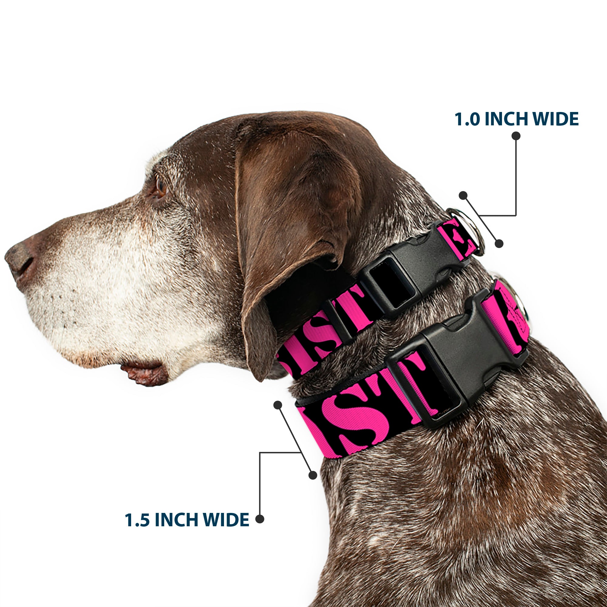 Plastic Clip Collar - RESIST Stencil Black/Pink Plastic Clip Collars Buckle-Down