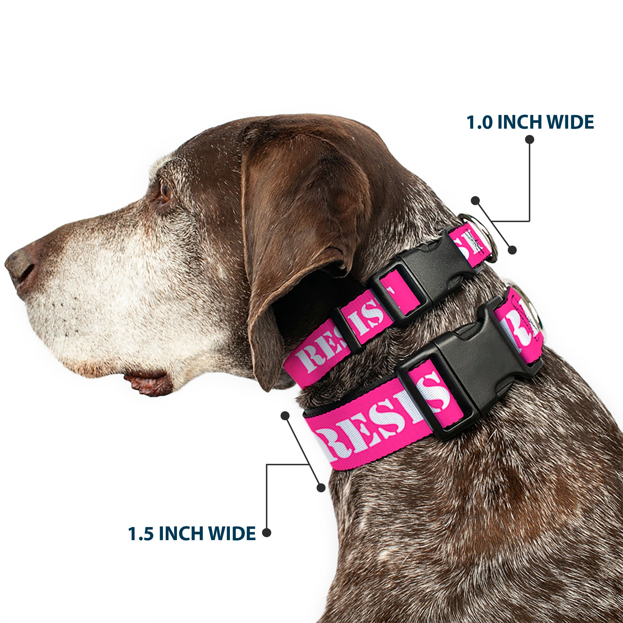 Plastic Clip Collar - RESIST Stencil Pink/White Plastic Clip Collars Buckle-Down