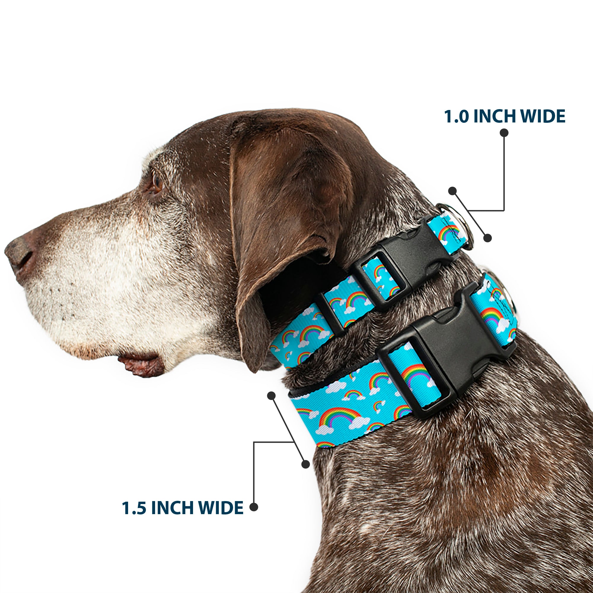Plastic Clip Collar - Rainbows Scattered Blue Plastic Clip Collars Buckle-Down