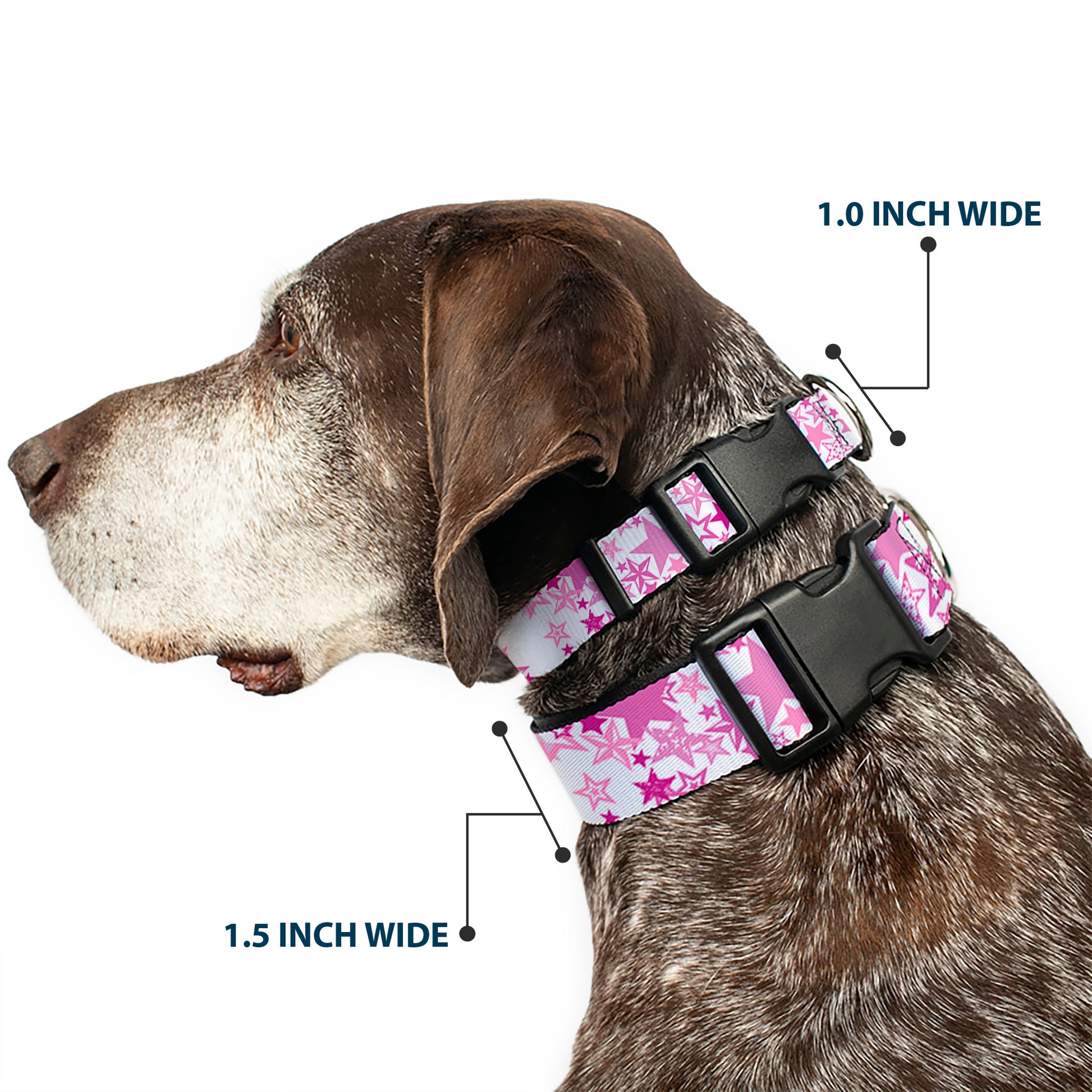 Plastic Clip Collar - Stargazer White/Pink Plastic Clip Collars Buckle-Down