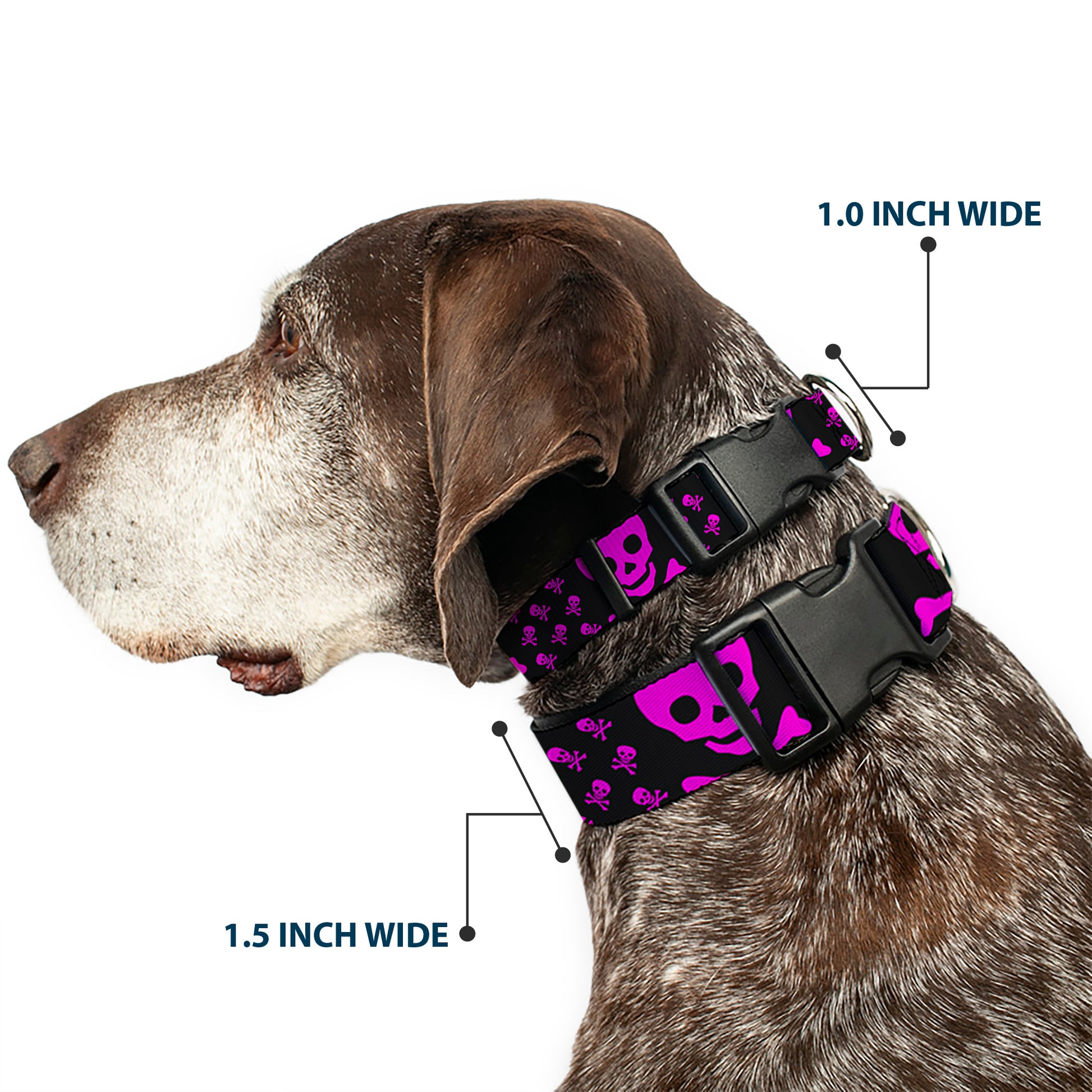 Plastic Clip Collar - Skull w/Babies Black/Fuchsia Plastic Clip Collars Buckle-Down