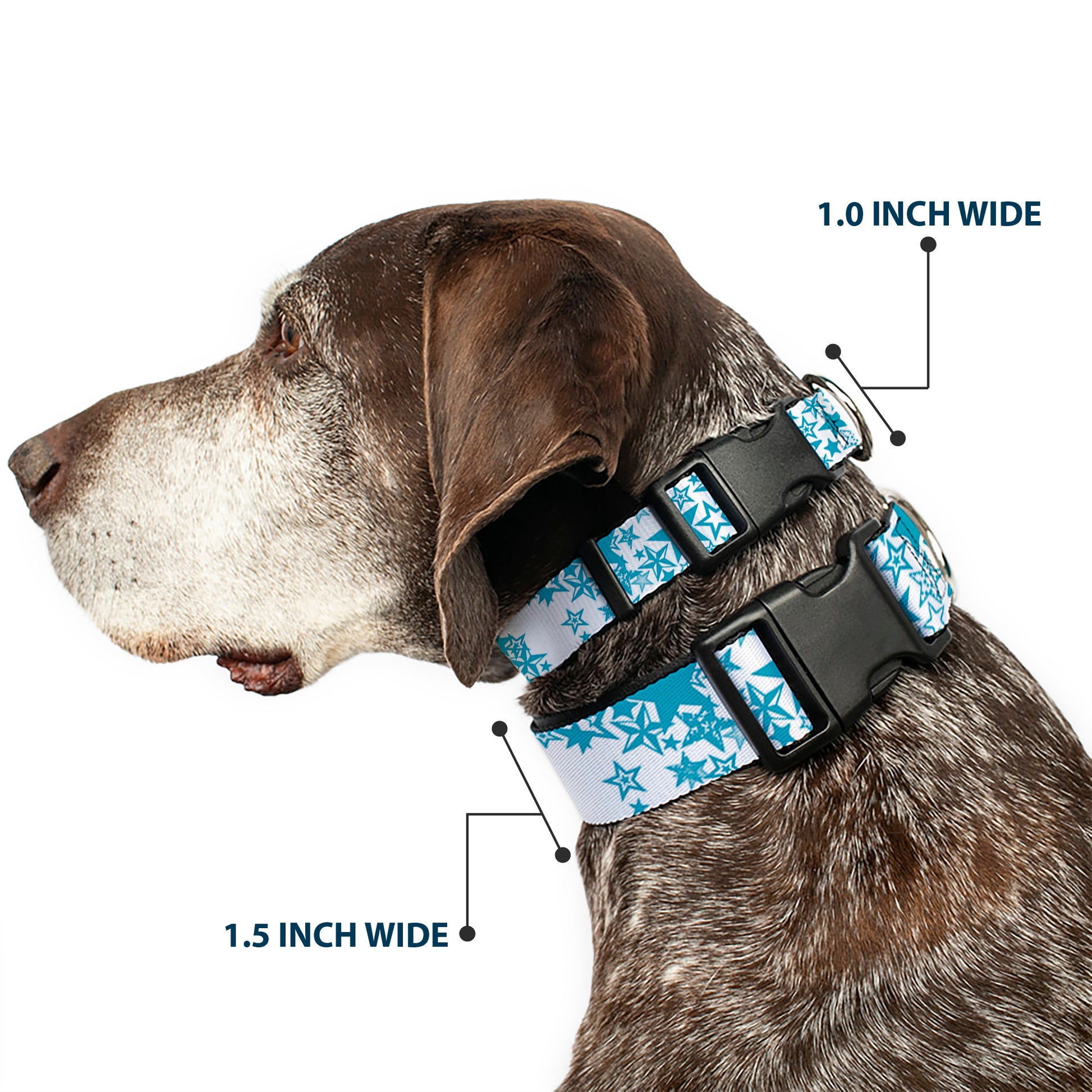 Plastic Clip Collar - Stargazer White/Blue Plastic Clip Collars Buckle-Down