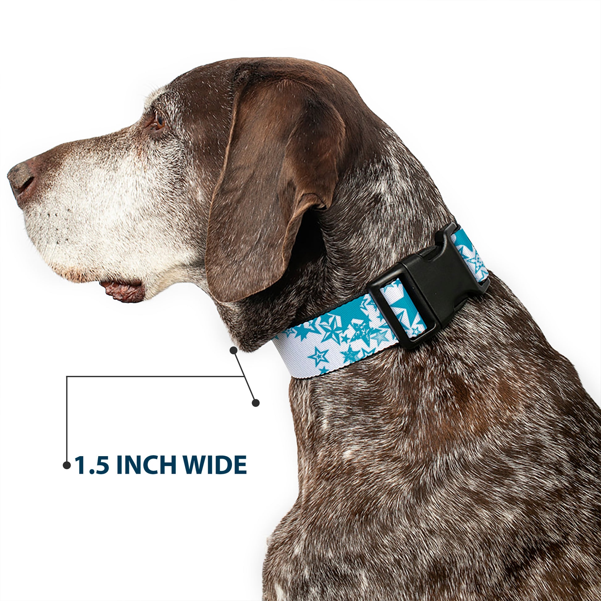 Plastic Clip Collar - Stargazer White/Blue Plastic Clip Collars Buckle-Down