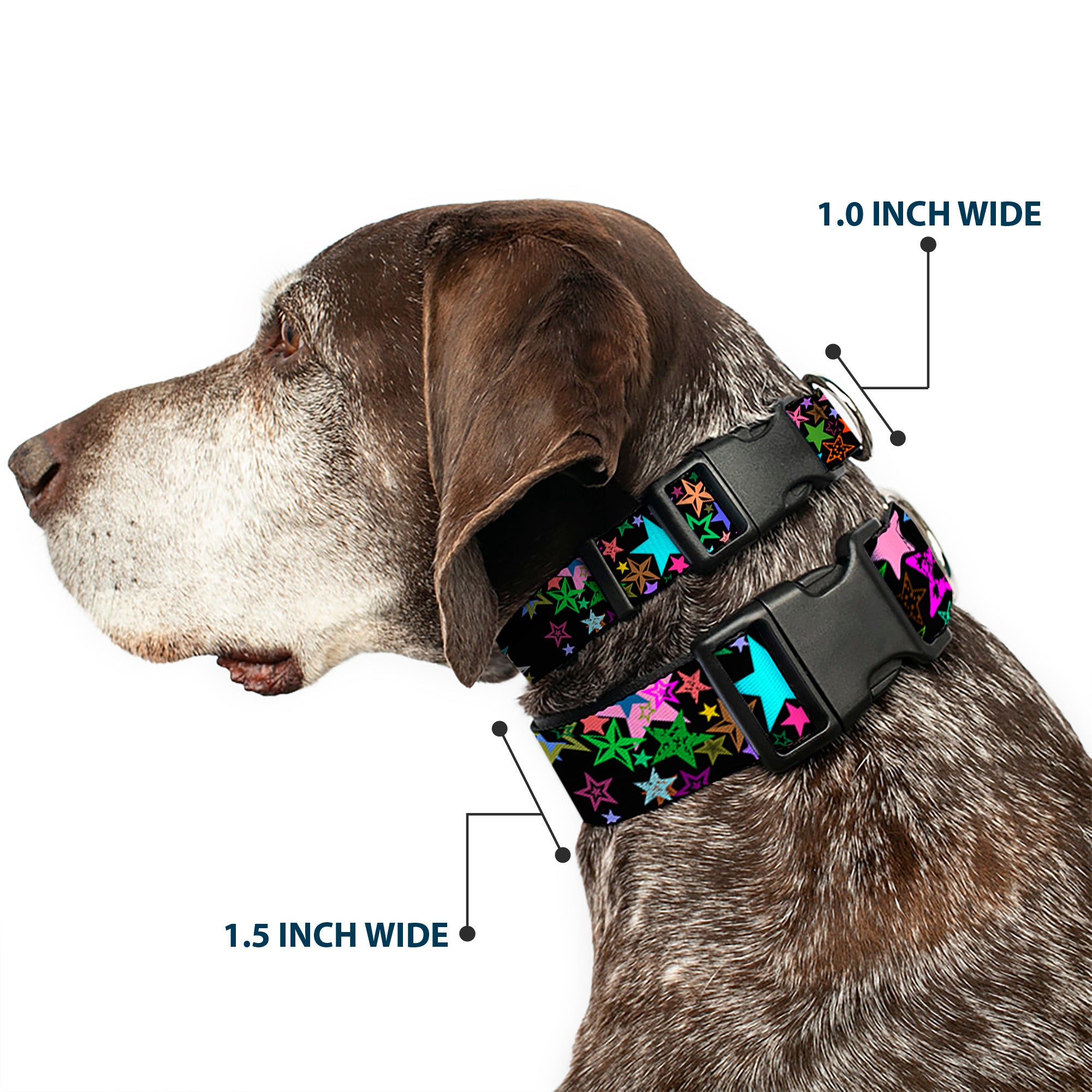 Plastic Clip Collar - Stargazer Black/Multi Color Plastic Clip Collars Buckle-Down