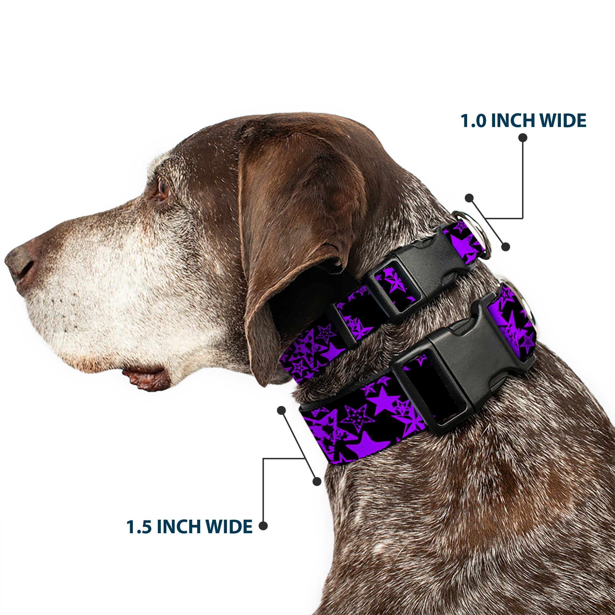 Plastic Clip Collar - Stargazer Black/Purple Plastic Clip Collars Buckle-Down