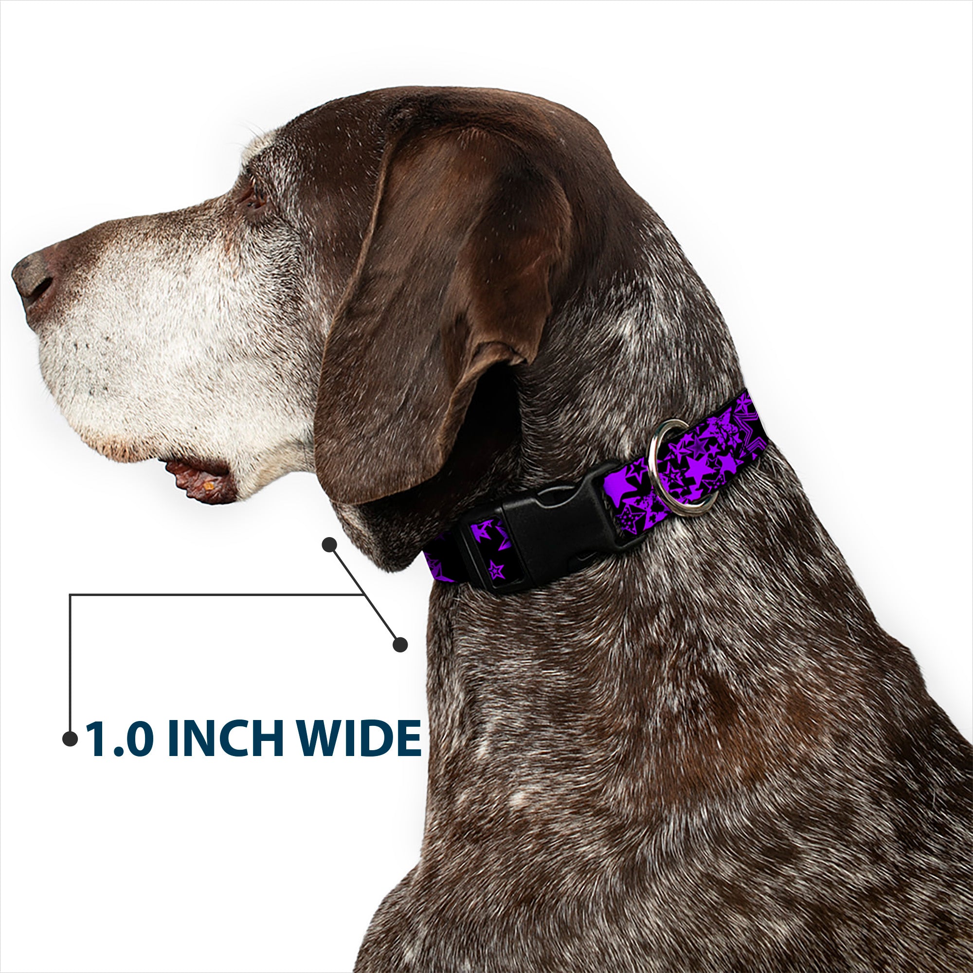 Plastic Clip Collar - Stargazer Black/Purple Plastic Clip Collars Buckle-Down