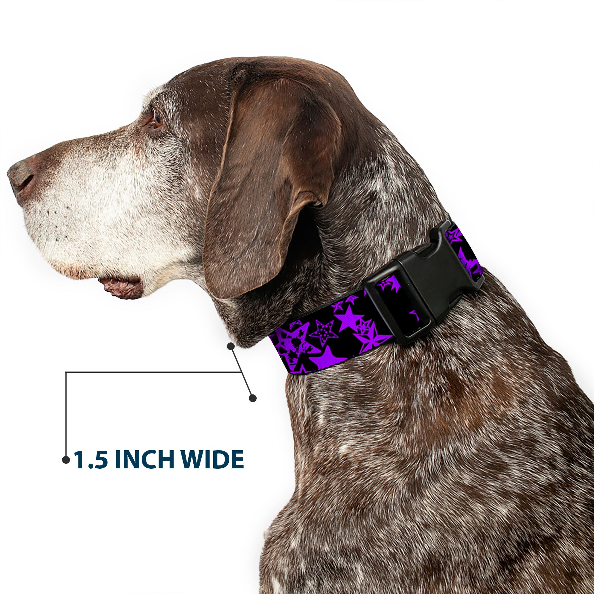 Plastic Clip Collar - Stargazer Black/Purple Plastic Clip Collars Buckle-Down