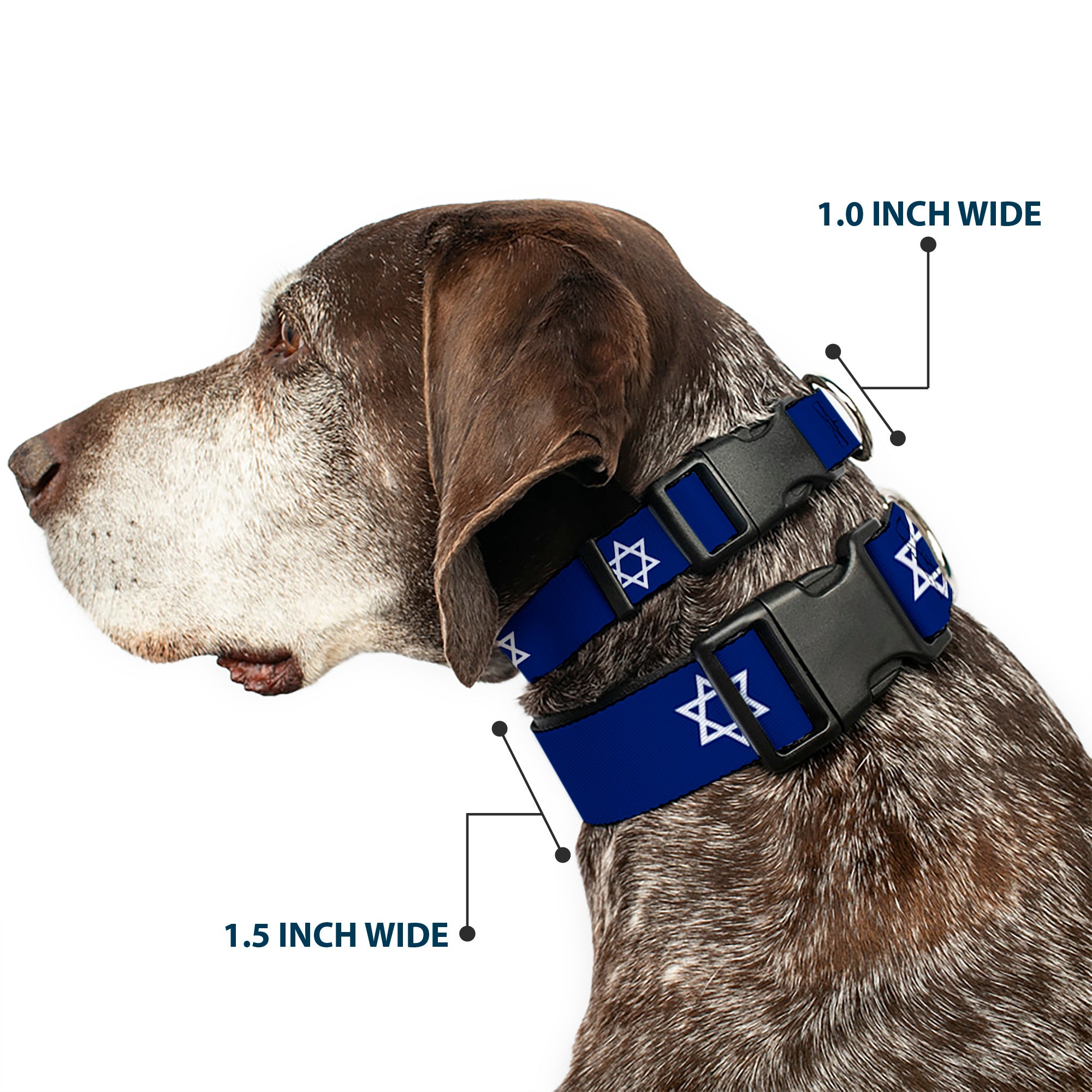 Plastic Clip Collar - Star of David Plastic Clip Collars Buckle-Down