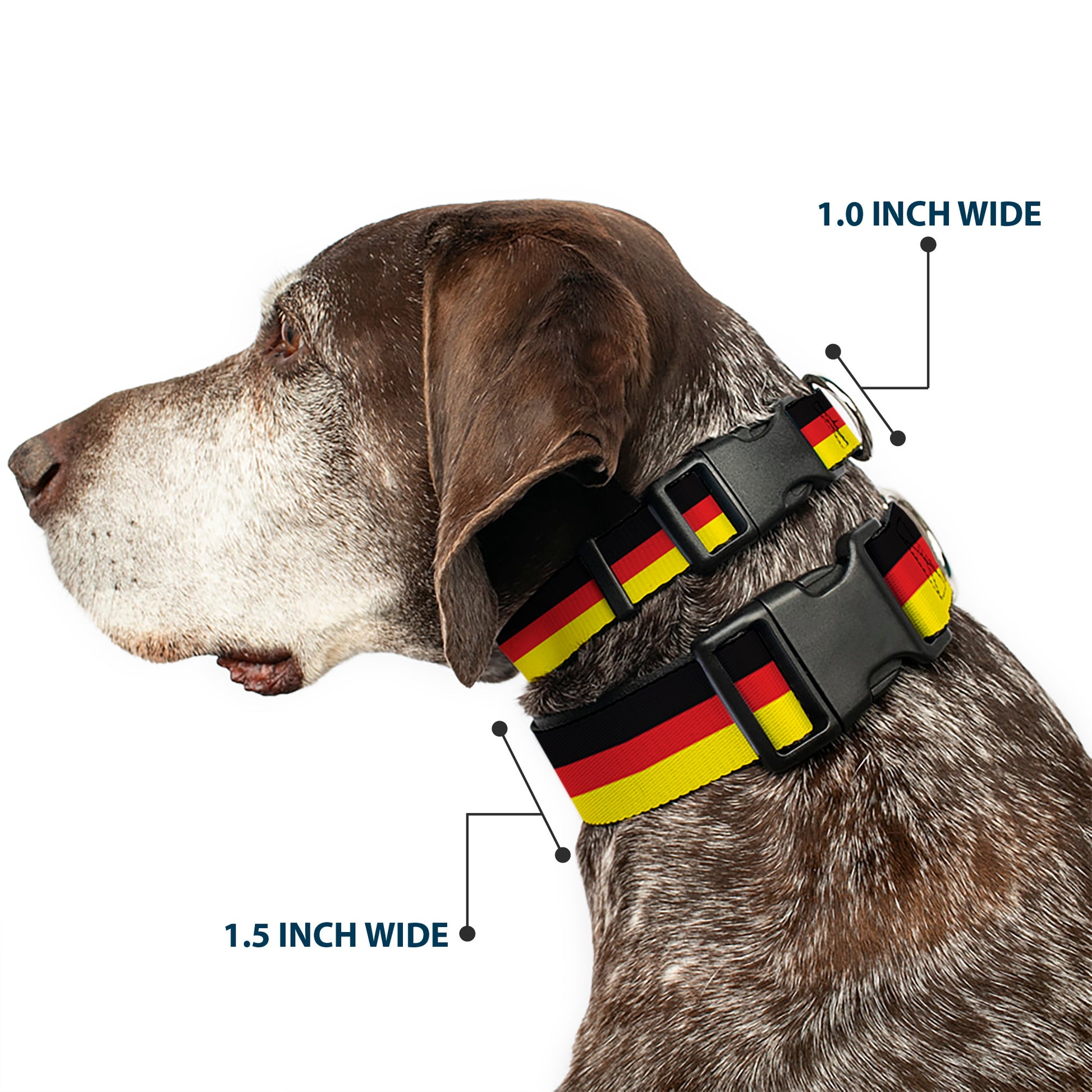 Plastic Clip Collar - Stripes Black/Red/Yellow Plastic Clip Collars Buckle-Down
