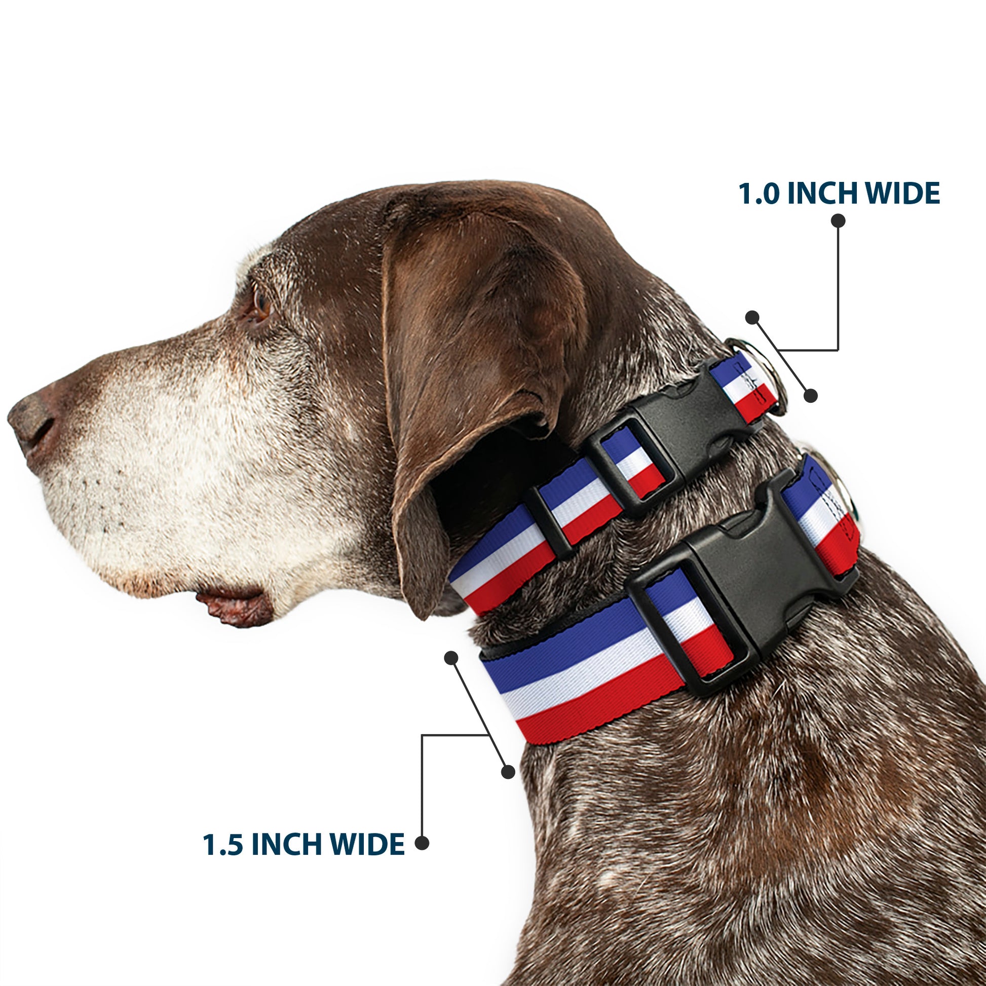Plastic Clip Collar - Stripes Blue/White/Red Plastic Clip Collars Buckle-Down